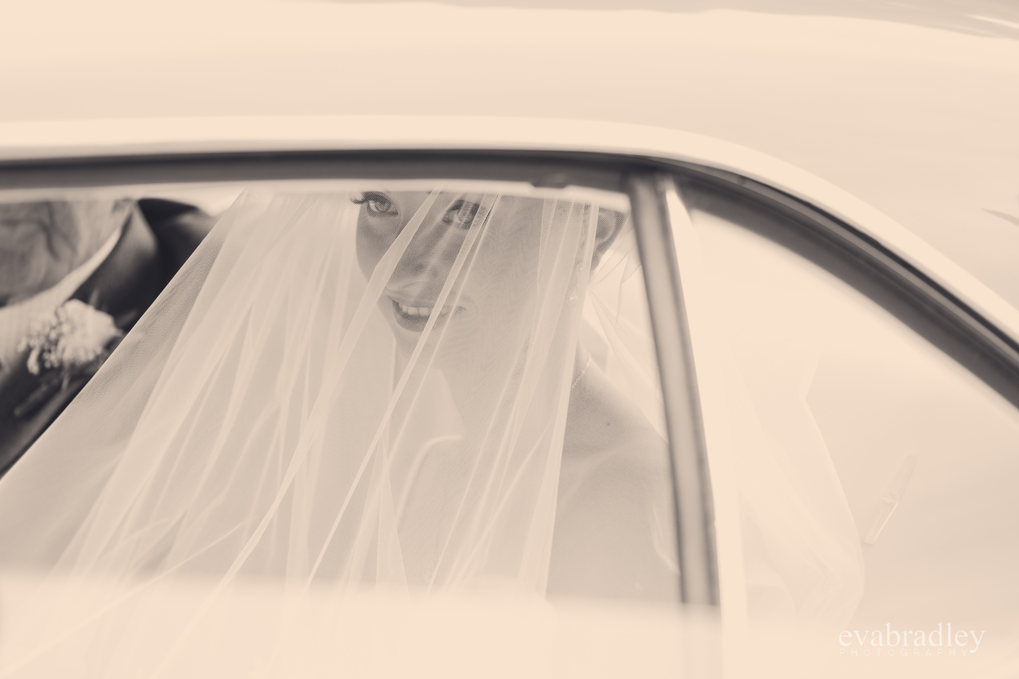 wedding-cars-hawkes-bay