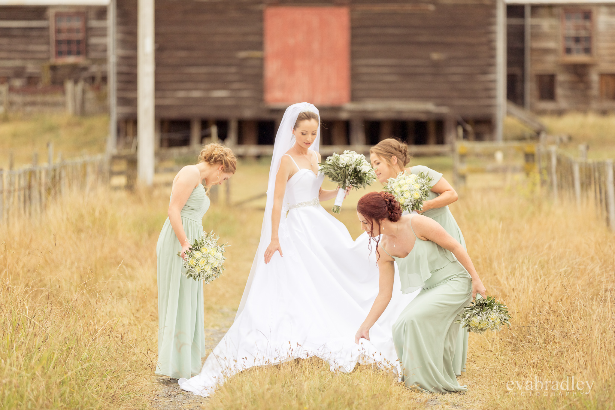 woolshed-weddings-hawkes-bay