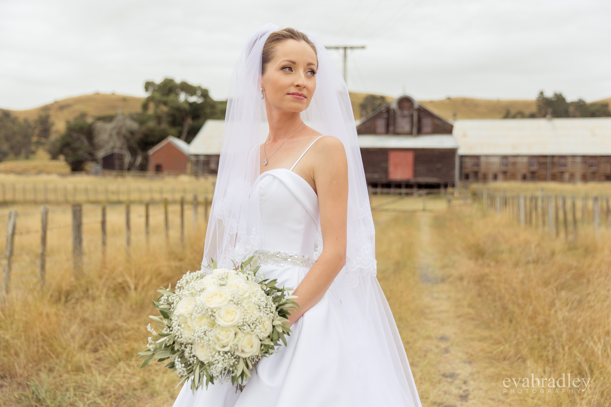 weddings-hawkes-bay-nz