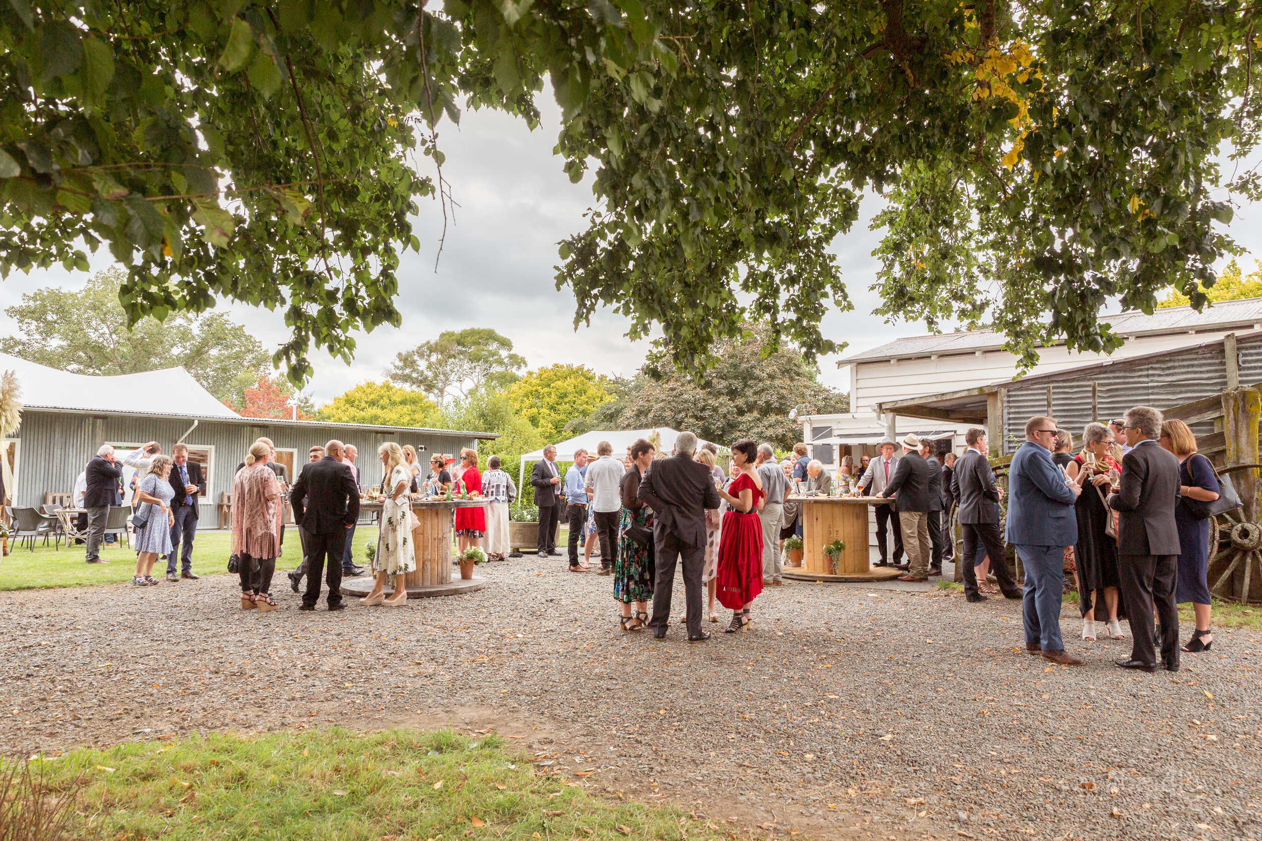 taniwha-weddings-hawkes-bay