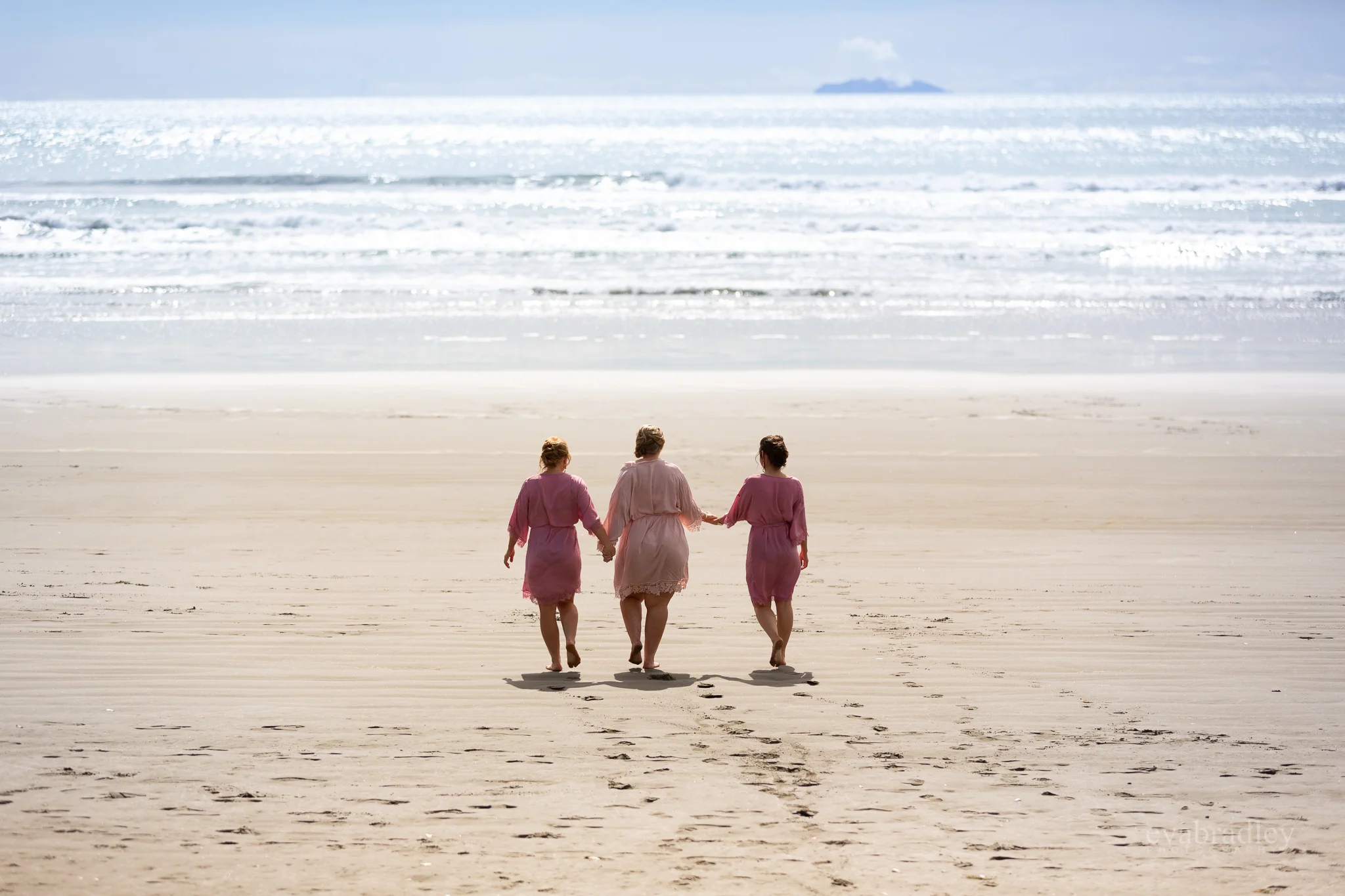 napier-wedding-photographer