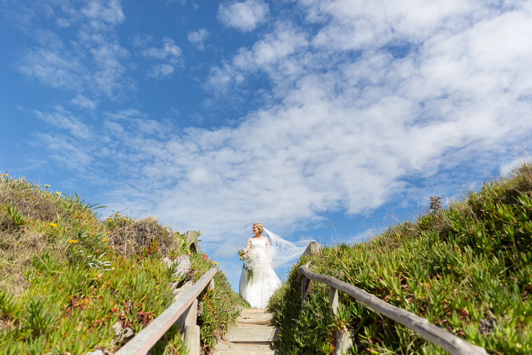 bay-of-plenty-wedding-photographers