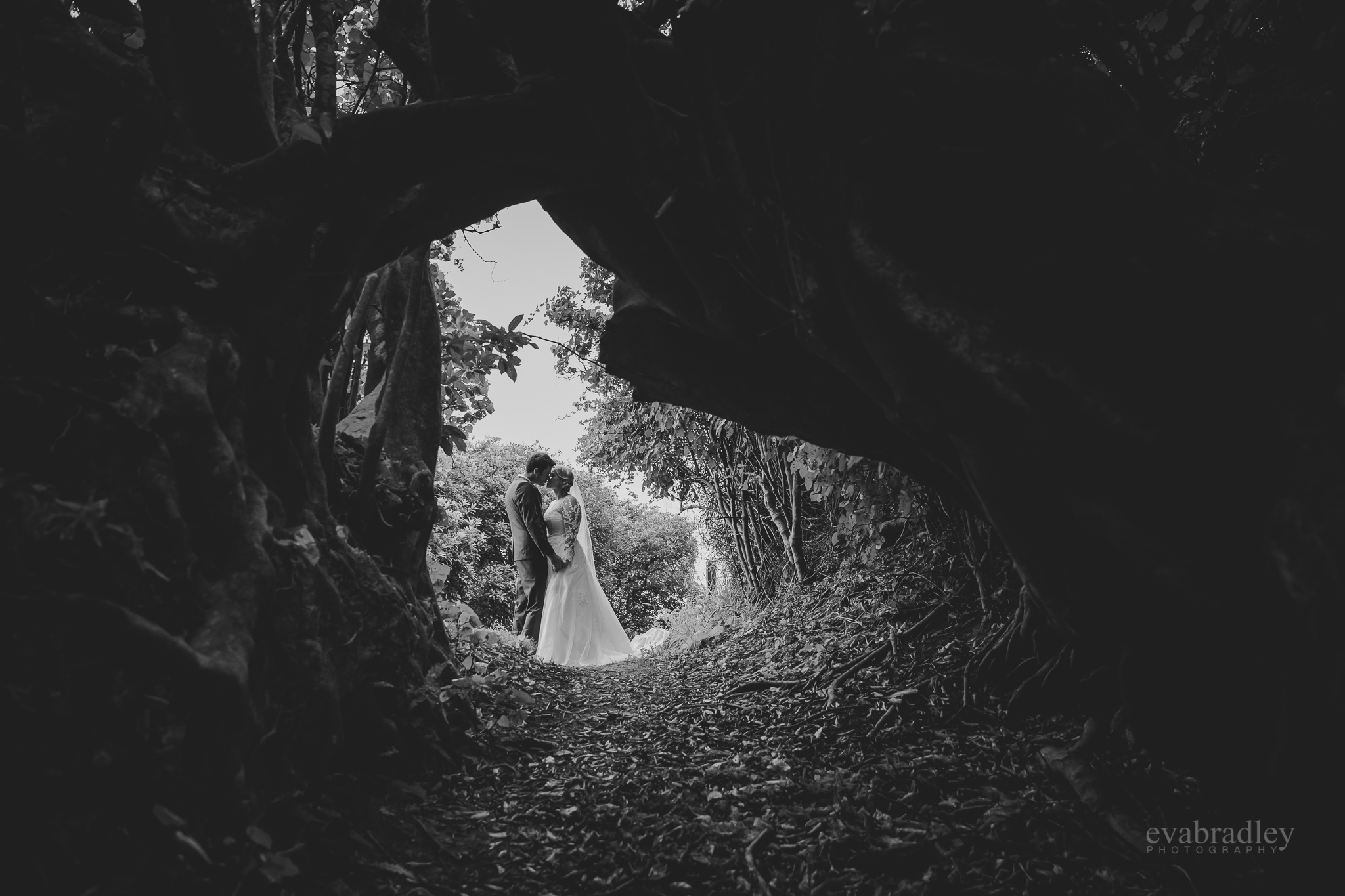 kohi-point-ohope-beach-wedding