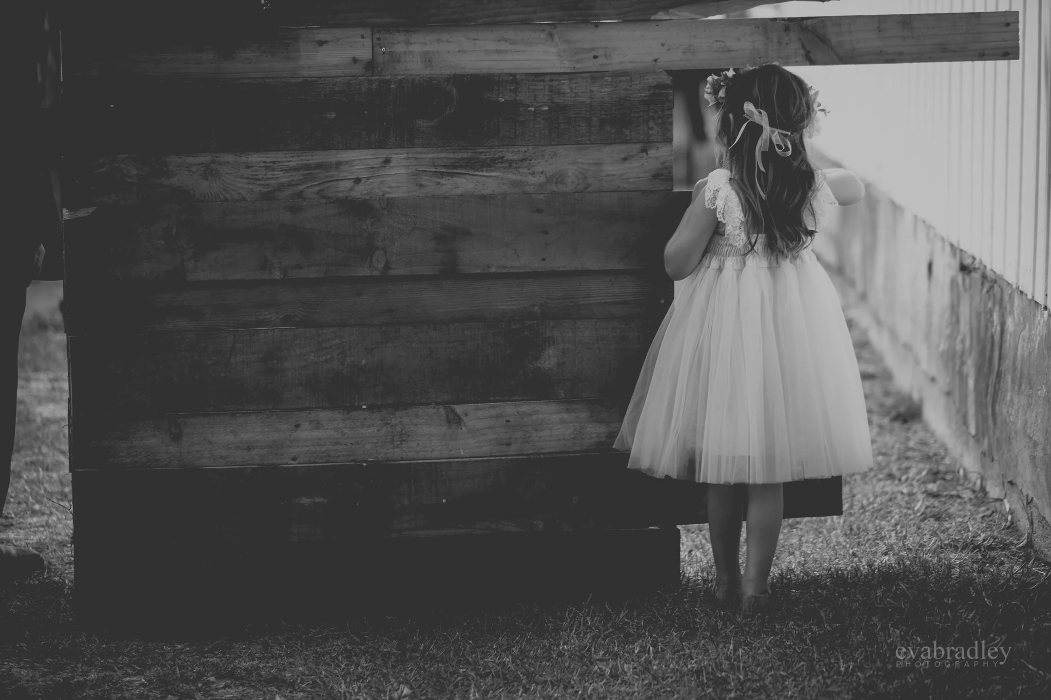 new-zealand-wedding-photographers