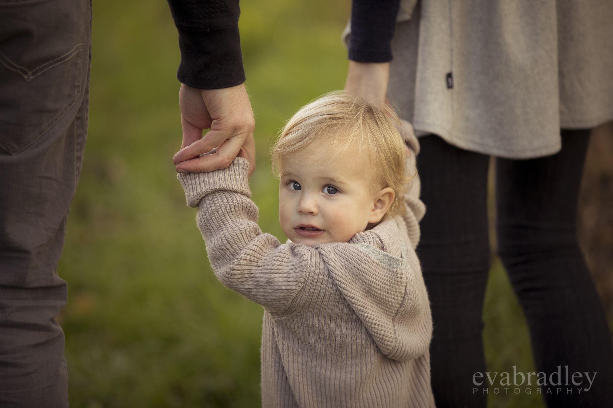 napier-newborn-photographers