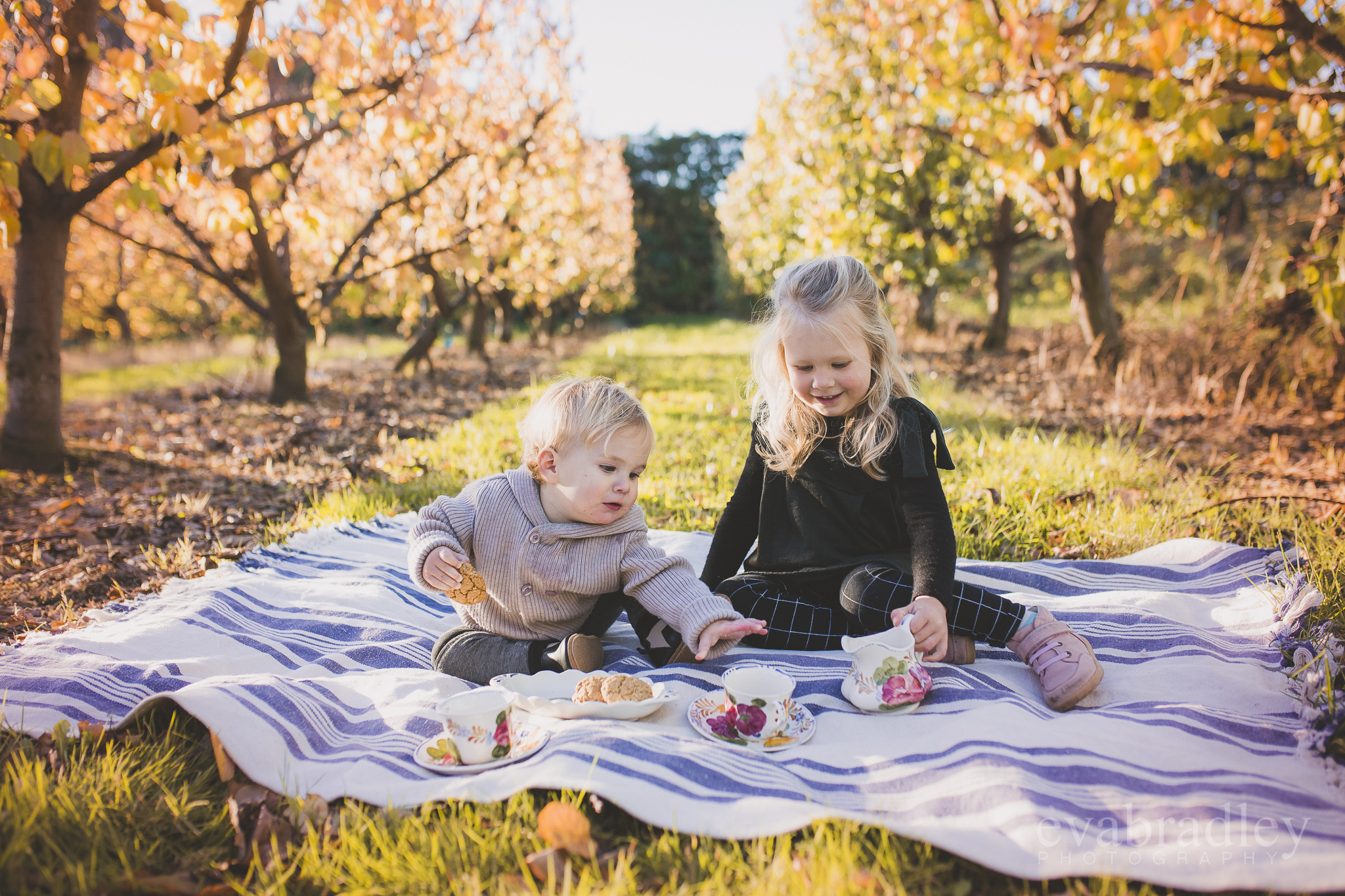 portrait-photographers-hawkes-bay