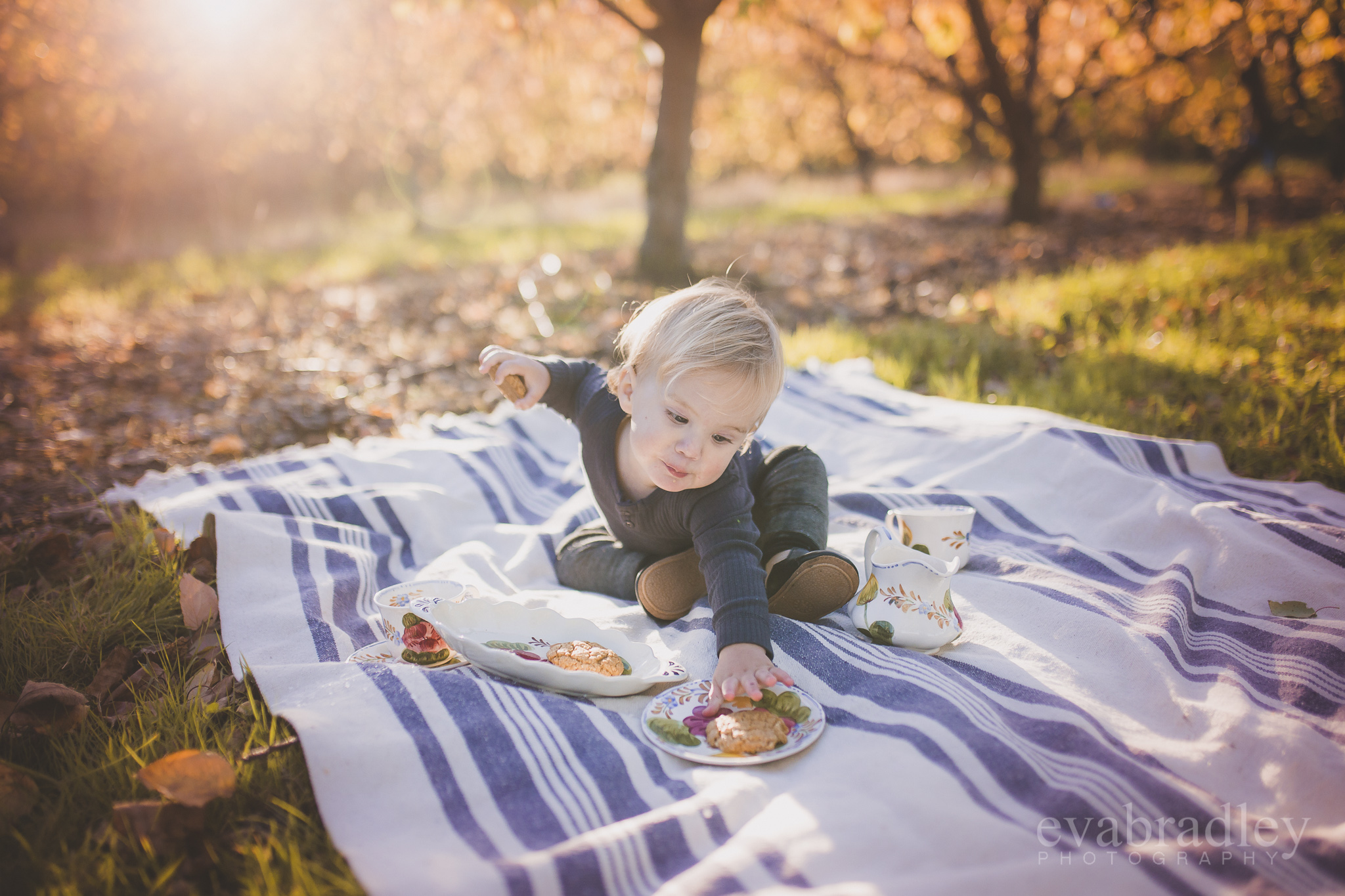best-new-zealand-wedding-photographers
