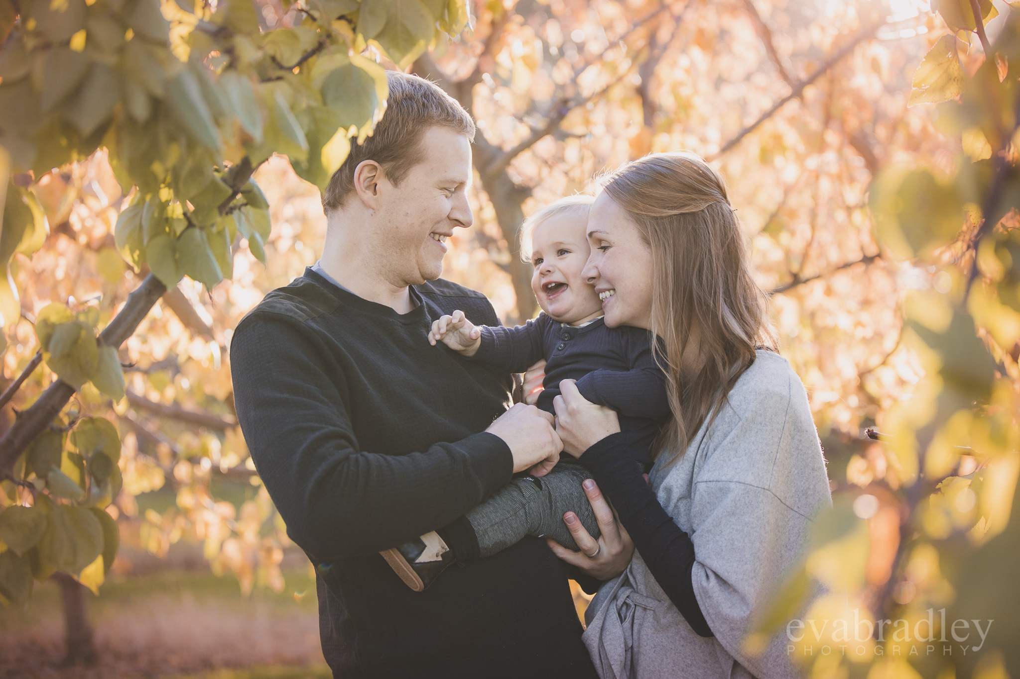 hawkes-bay-family-portrait-photographers