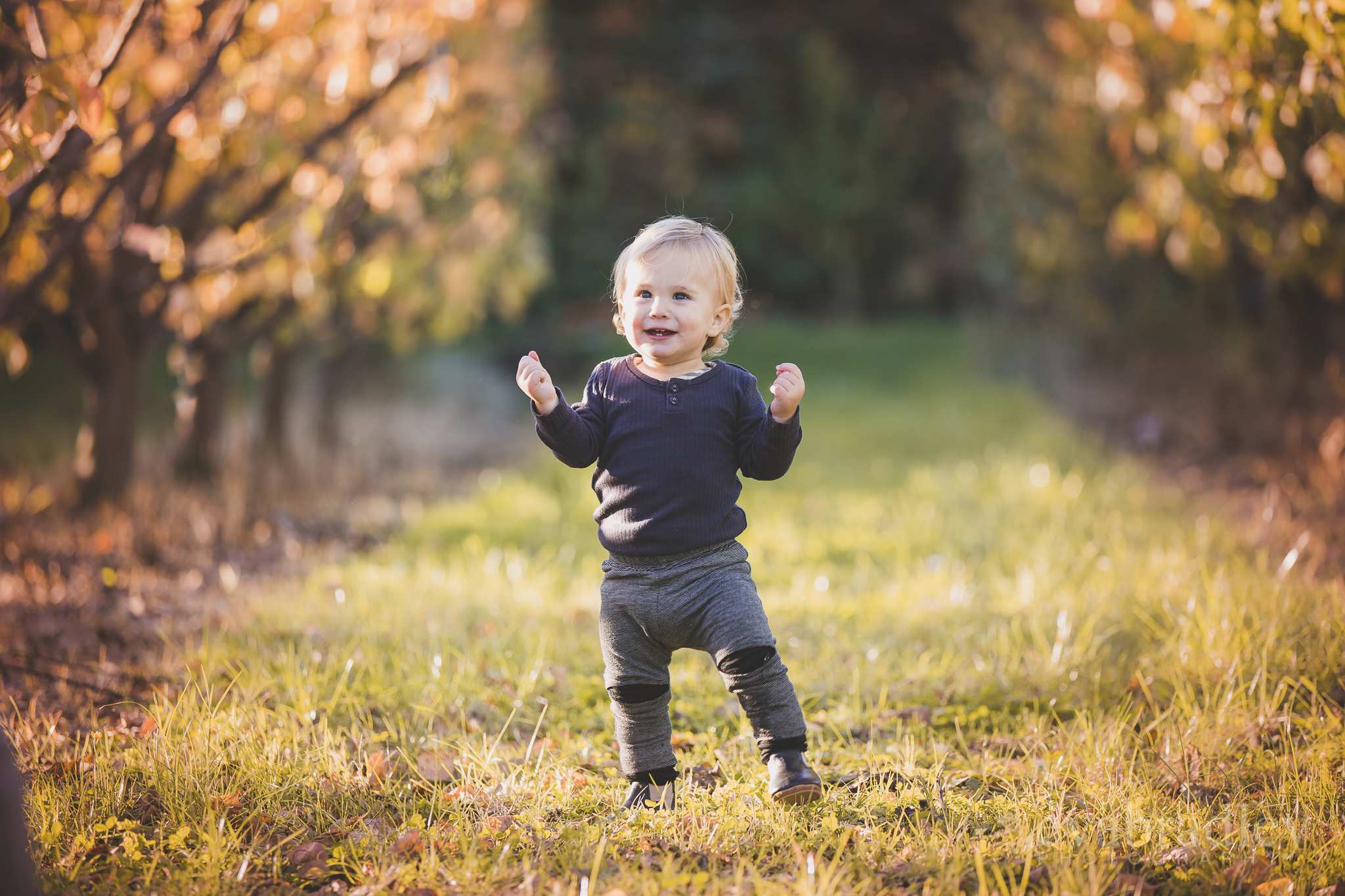 best-hawkes-bay-family-portrait-photographers