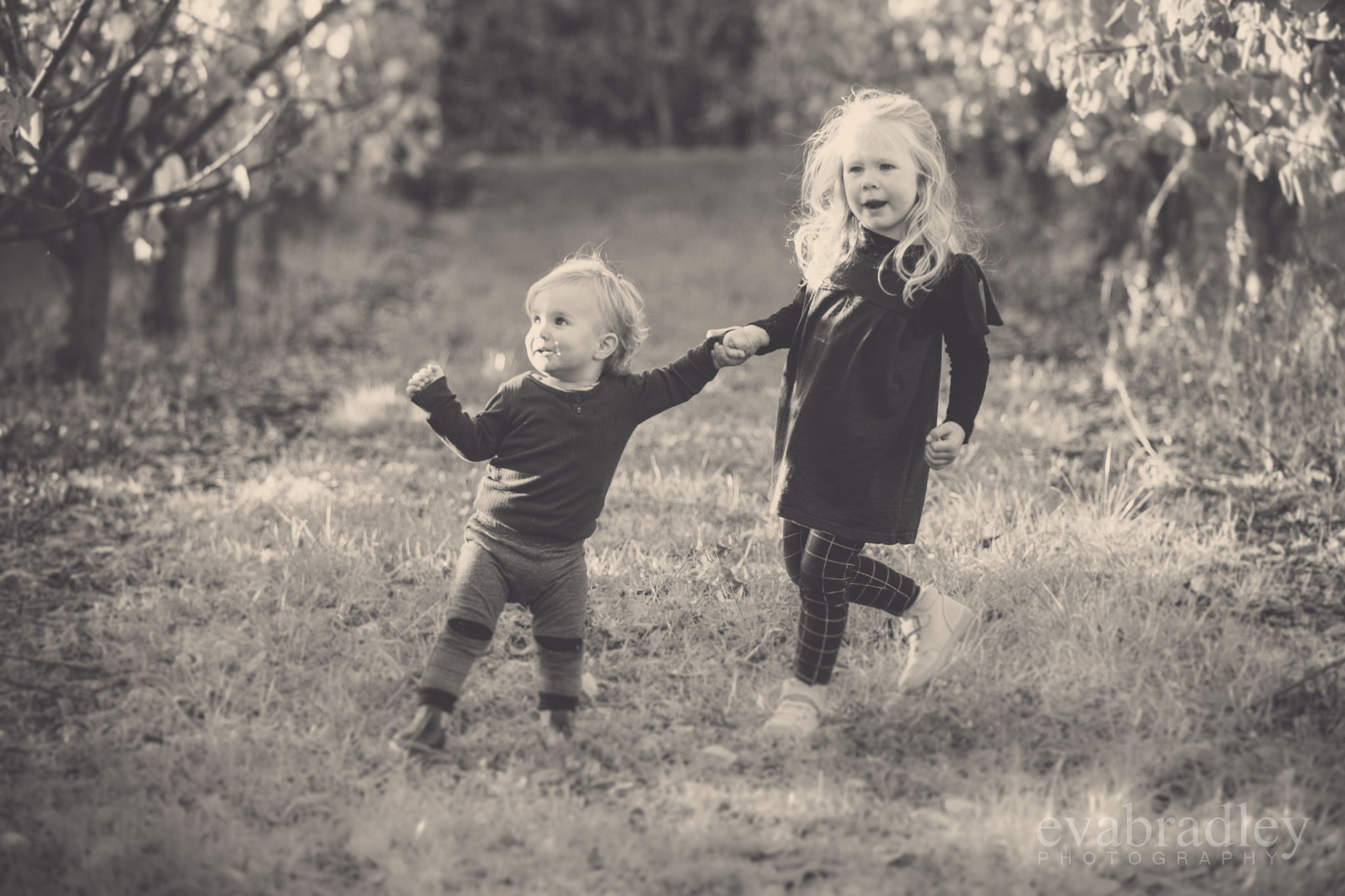 new-zealand-wedding-photographers-napier