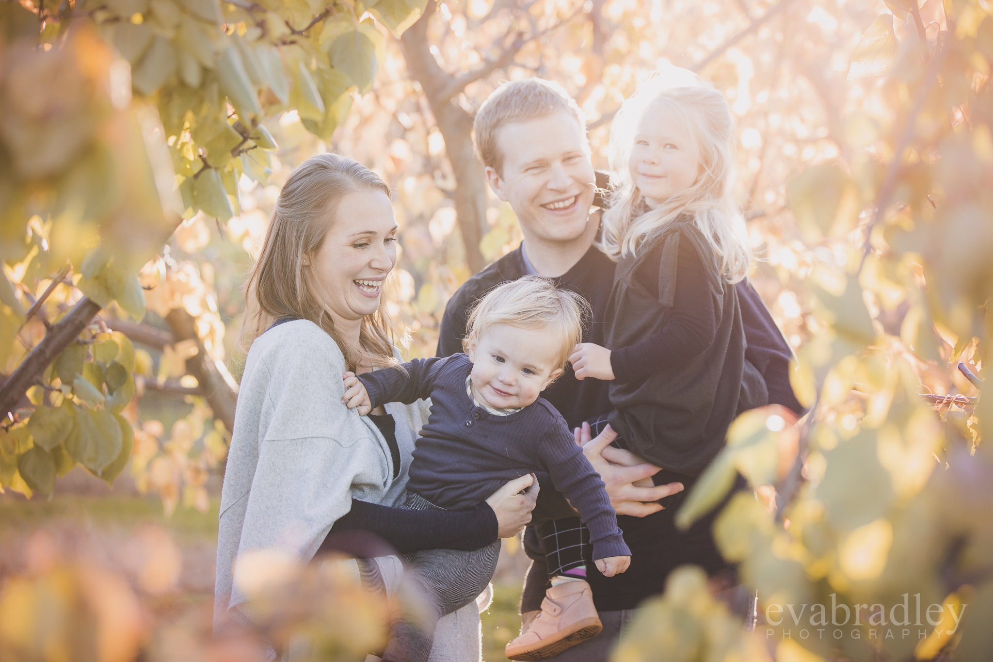 best-family-portrait-photographers-hawkes-bay