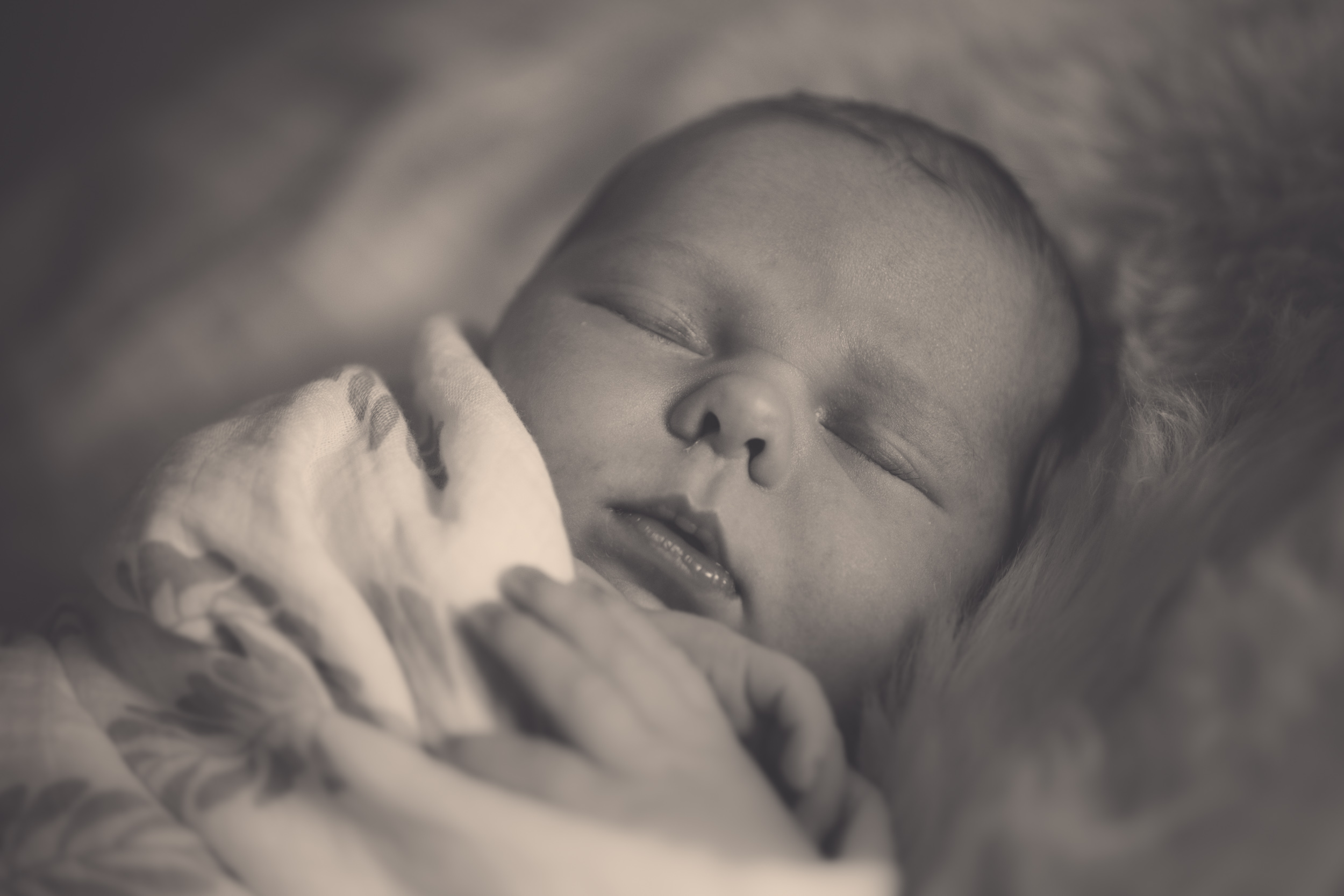 hawkes-bay-newborn-photographer-019.jpg