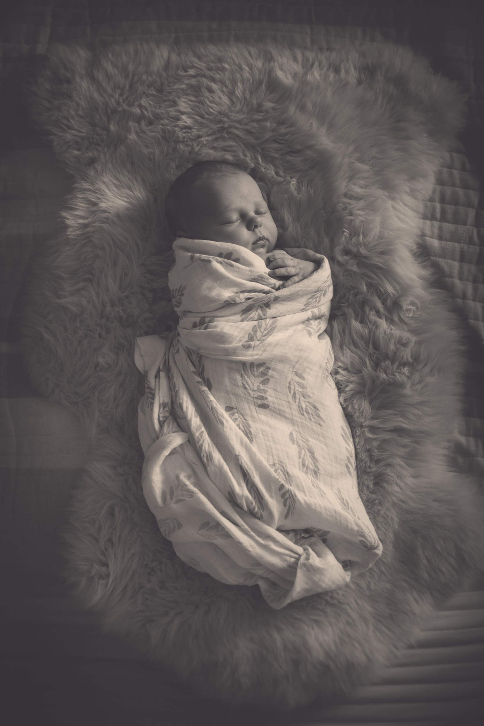 hawkes-bay-newborn-photographers-hastings