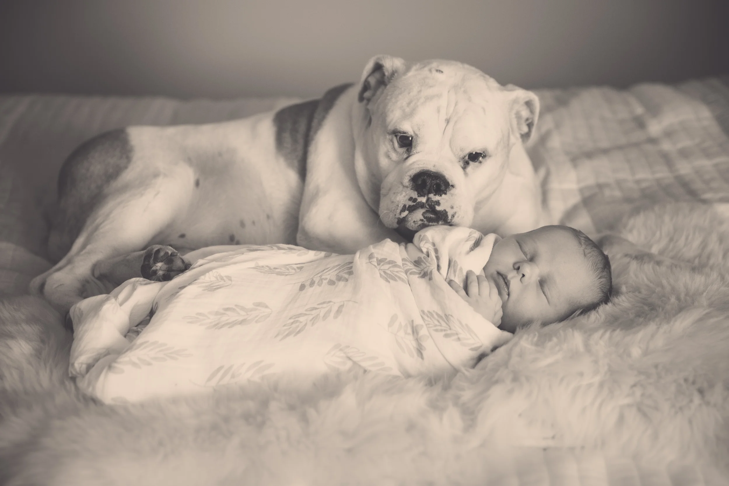 Wee Evie - One week old and chilling out at home.