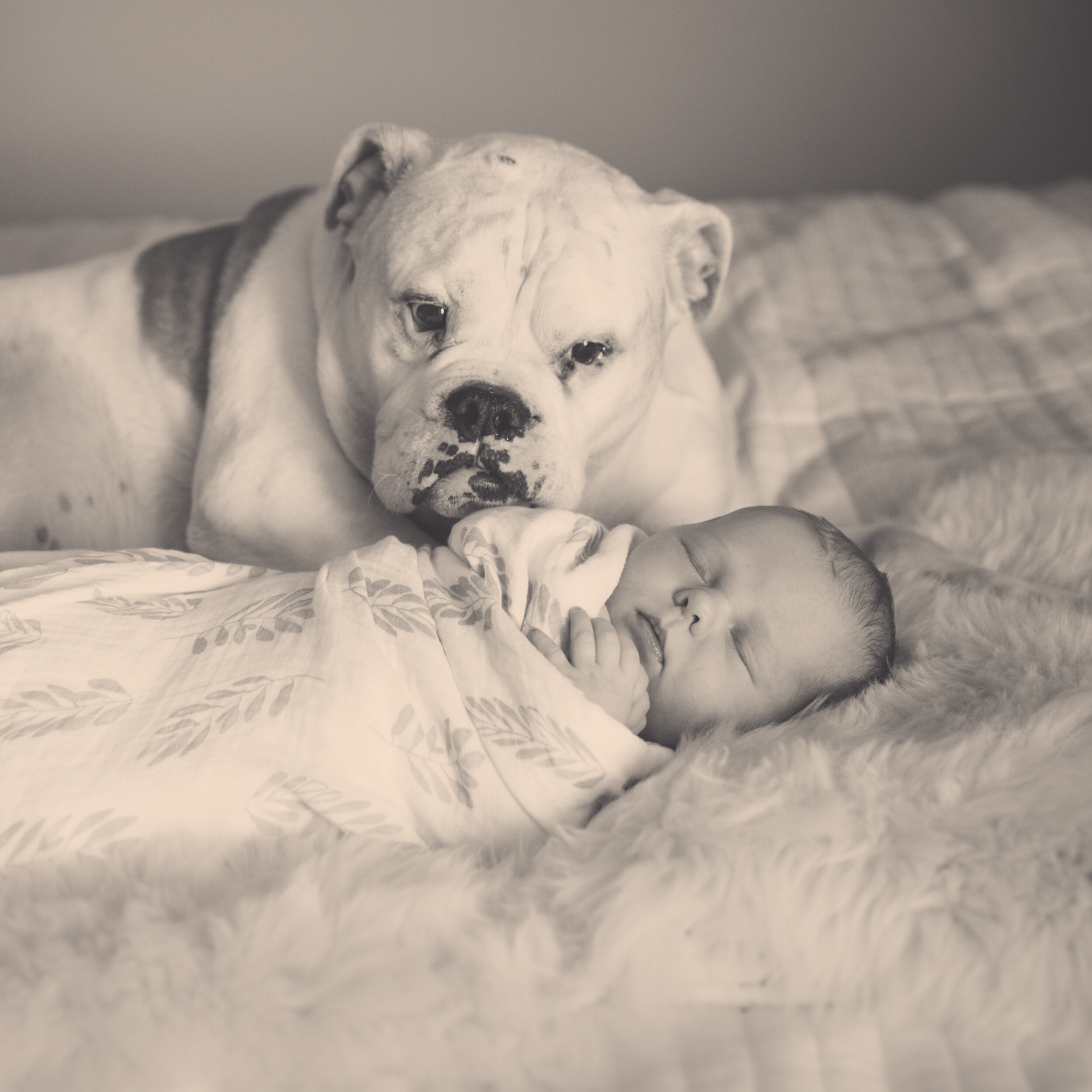 NEWBORN AT-HOME SESSION