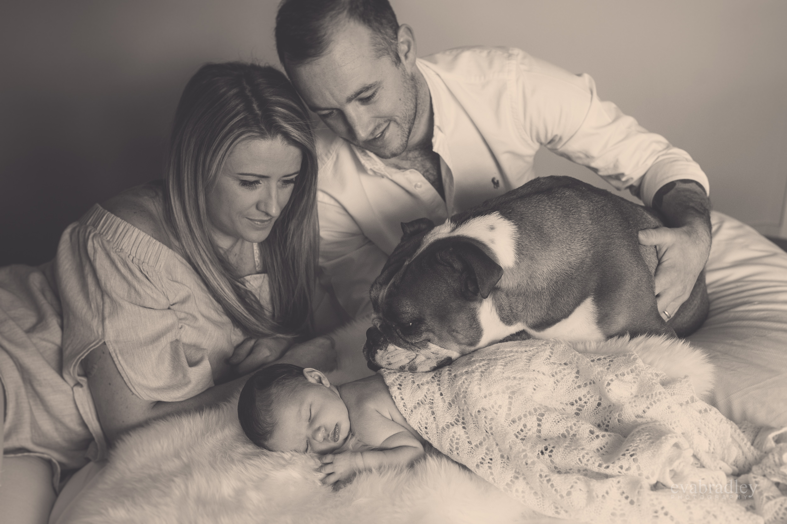 napier-newborn-baby-photographers