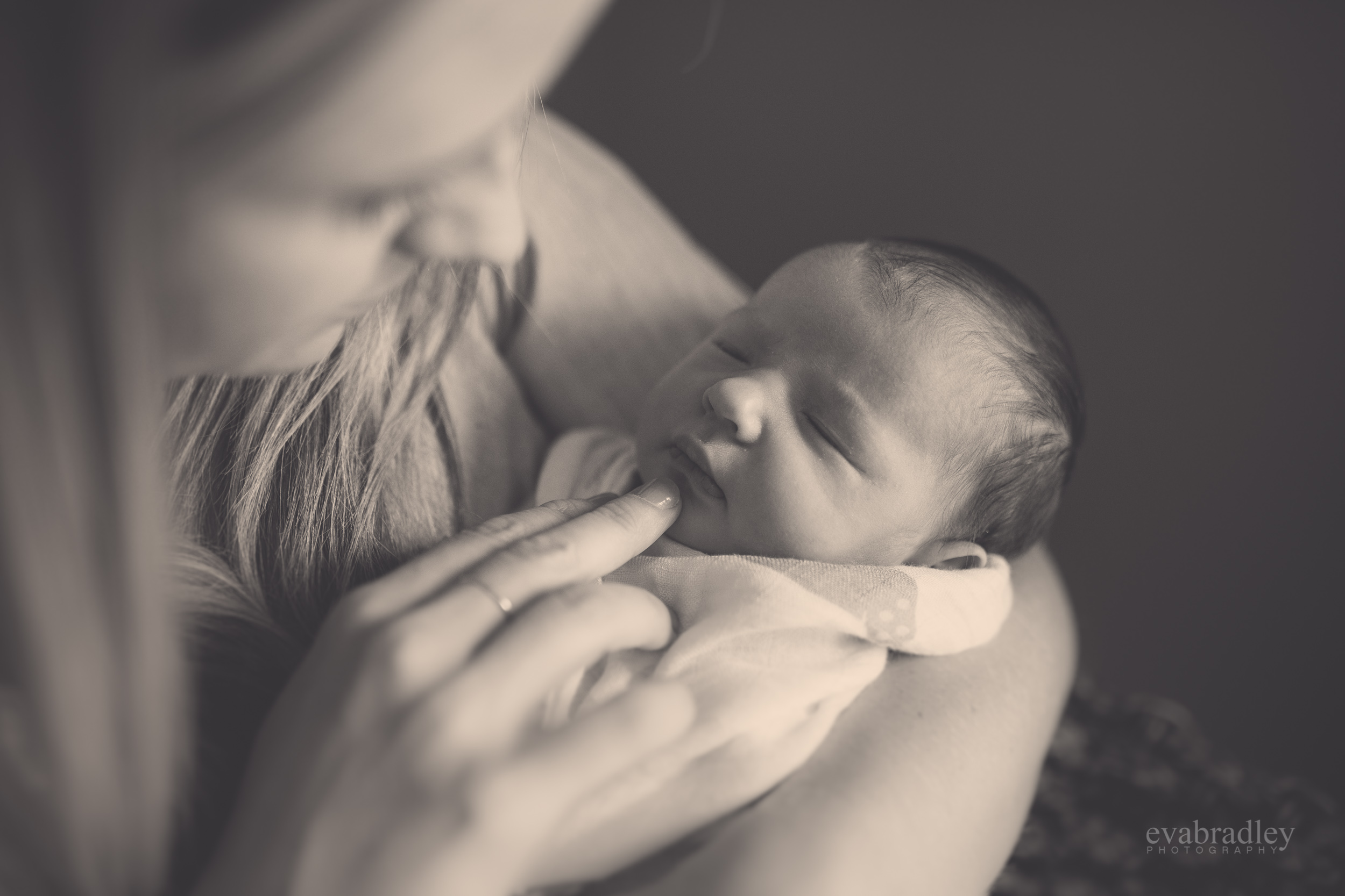 eva-bradley-newborn-baby-photographer