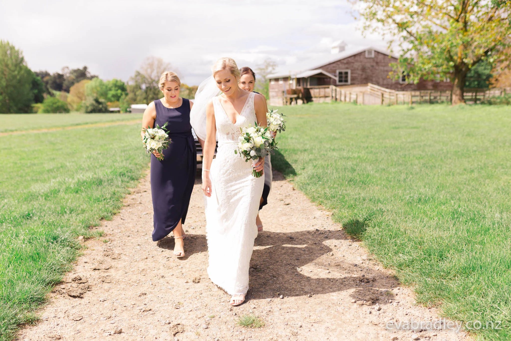 best-napier-wedding-photographer