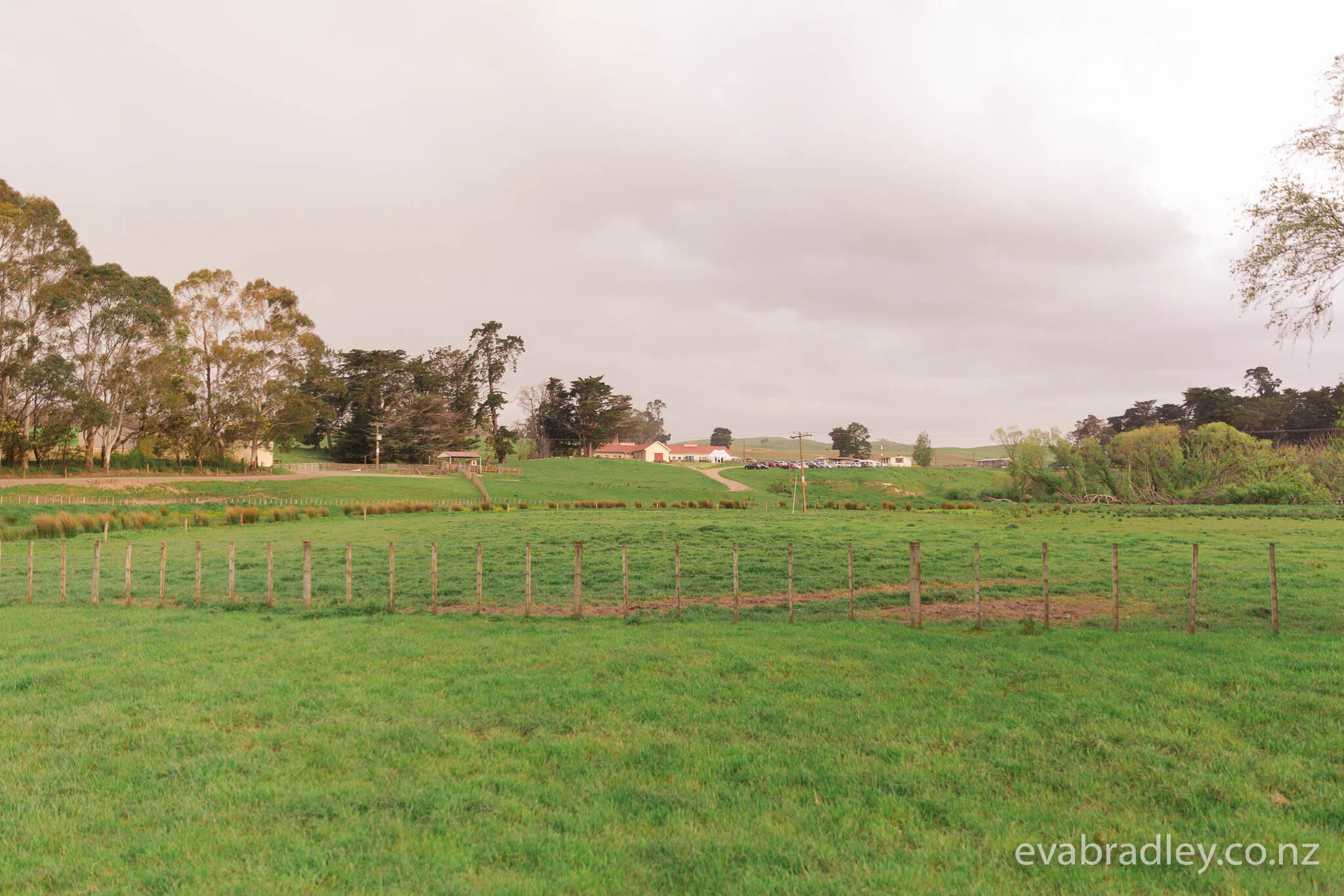 mangatarata-hawkes-bay-wedding-venues