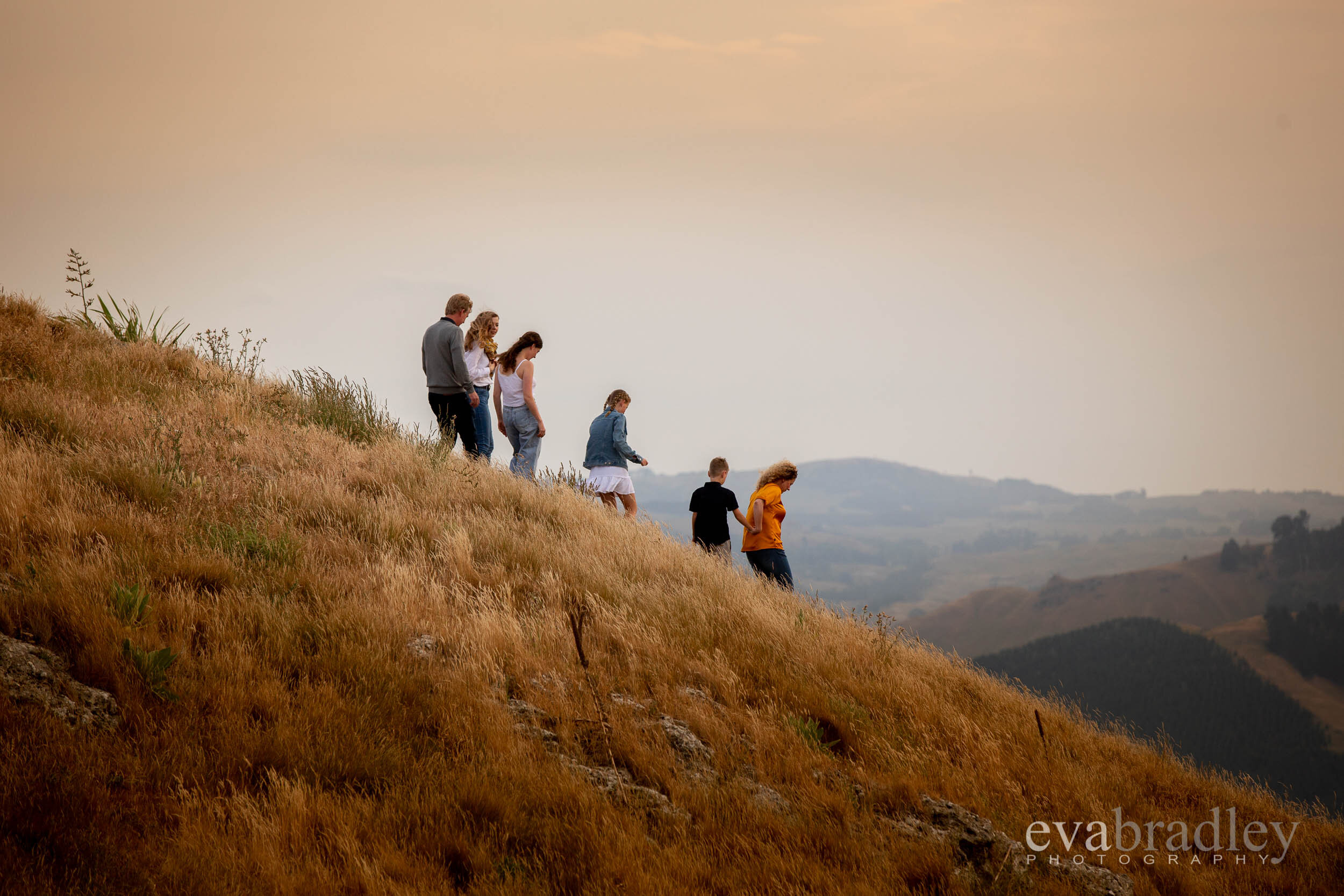 family photos at te mata peak park