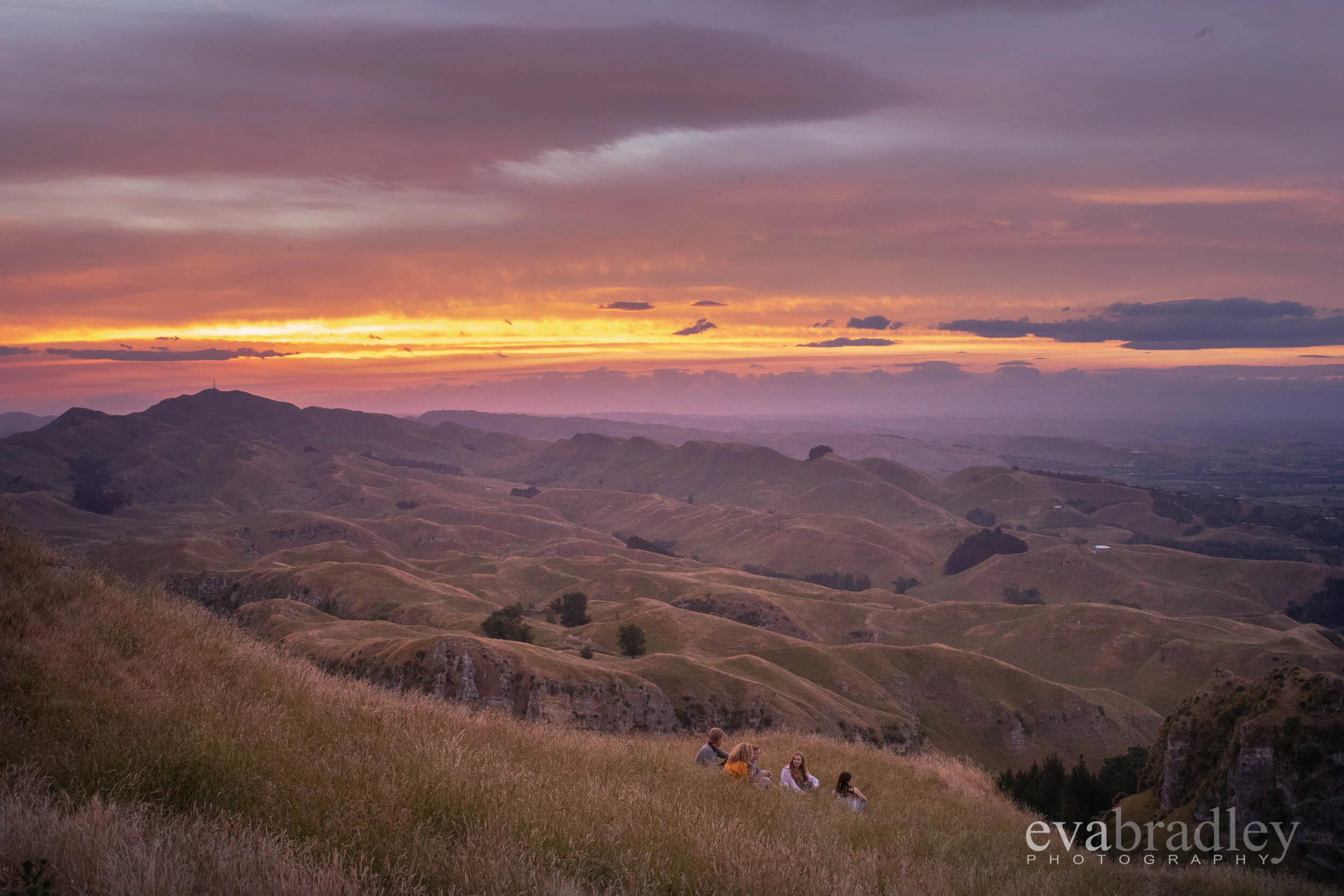 Family portrait photo session Hawke's Bay Te Mata Peak