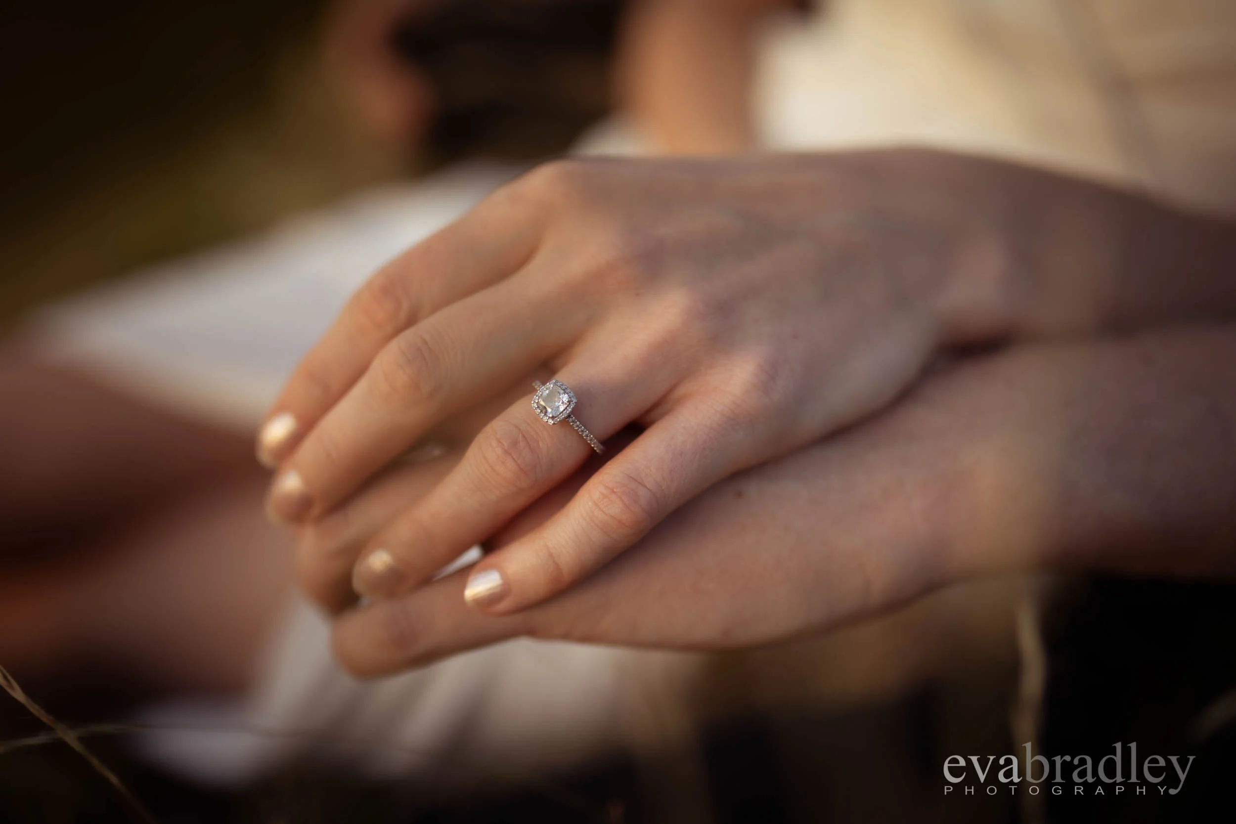 best engagement photography nz Hawkes bay