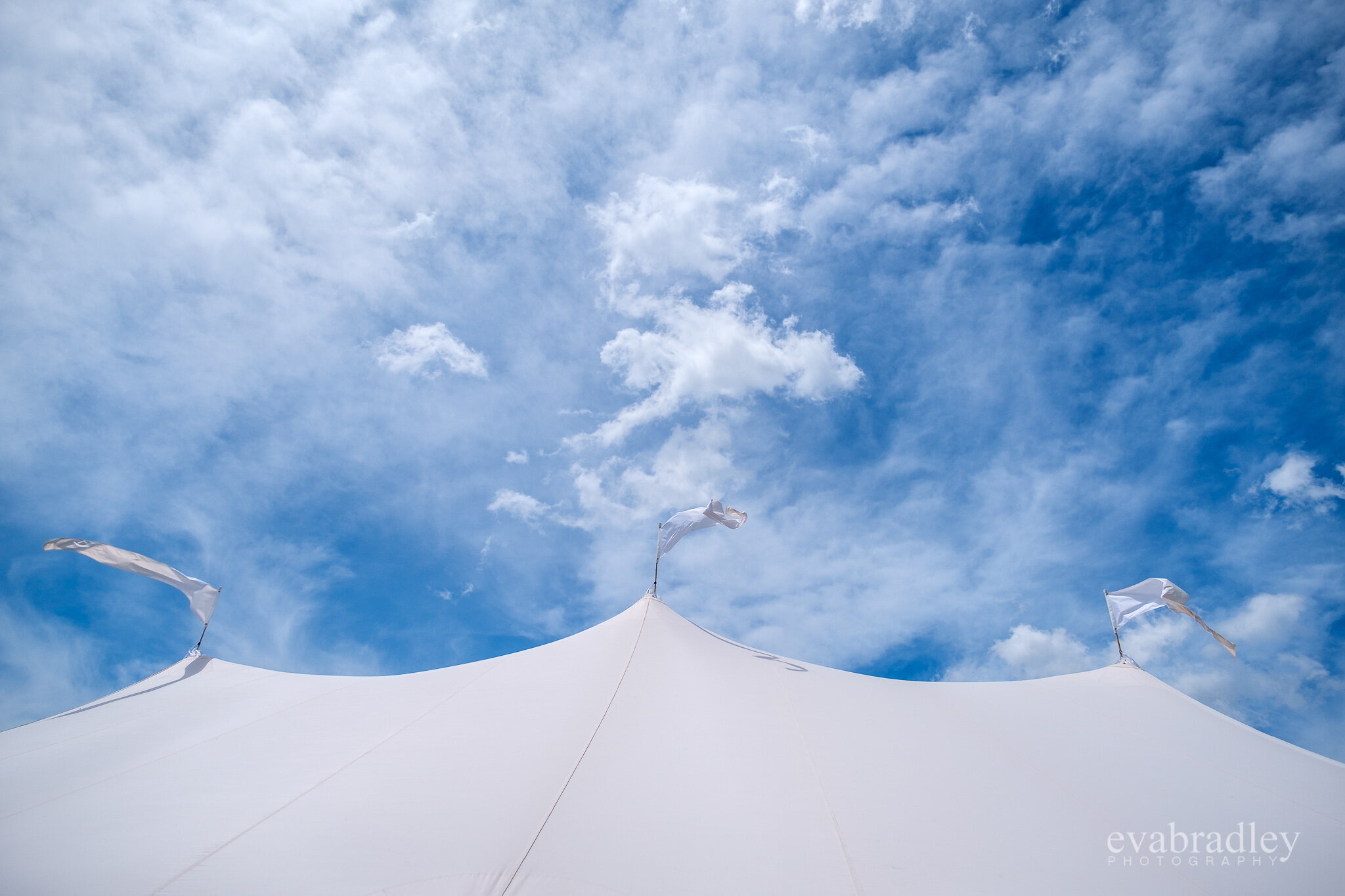 Hawke's Bay marquees