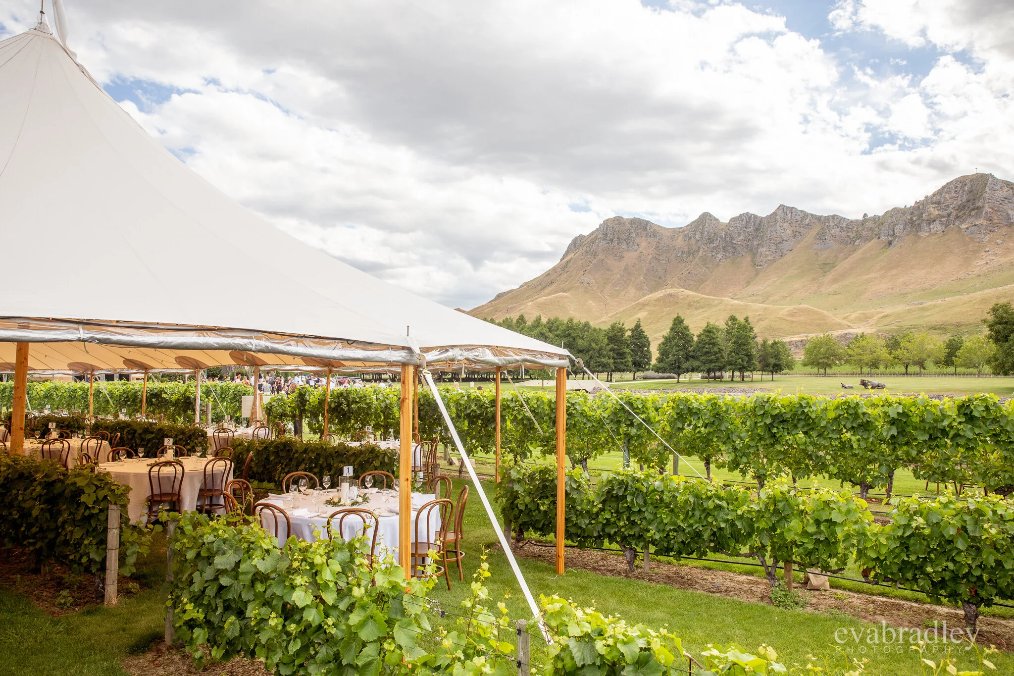 craggy range weddings