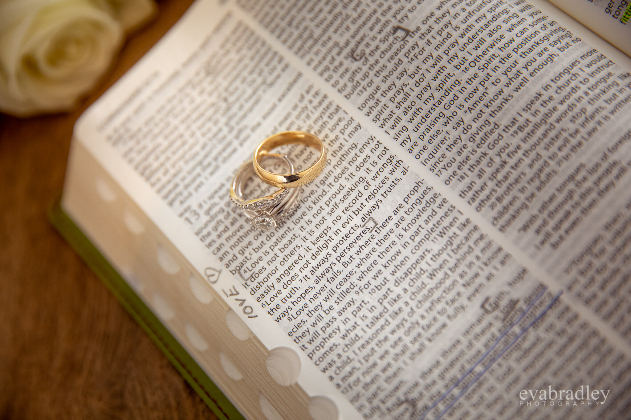 Hawke's Bay wedding rings