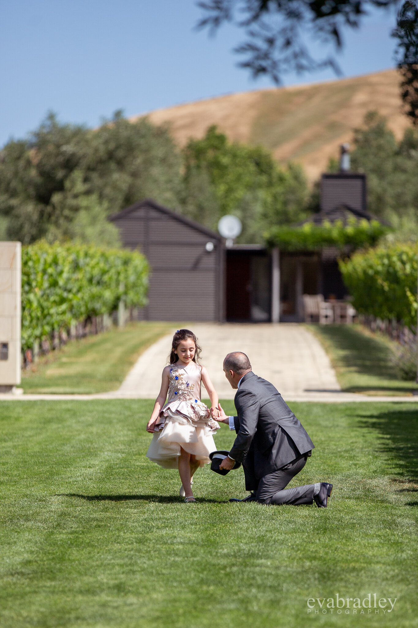 wedding photography craggy range Hawkes bay