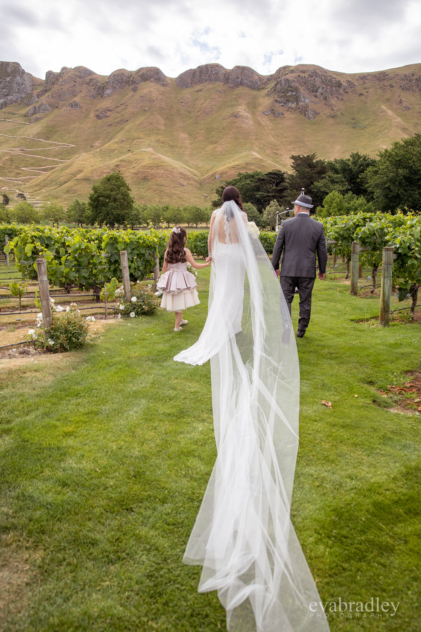 Napier wedding photographers