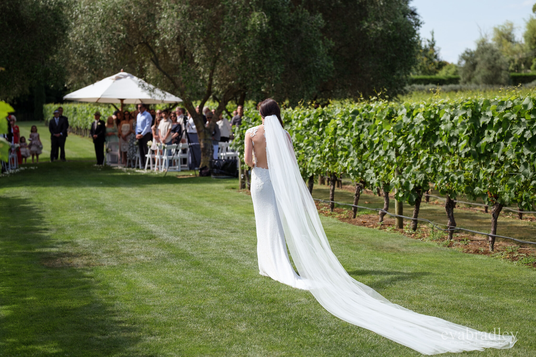 Hawkes bay winery wedding craggy range