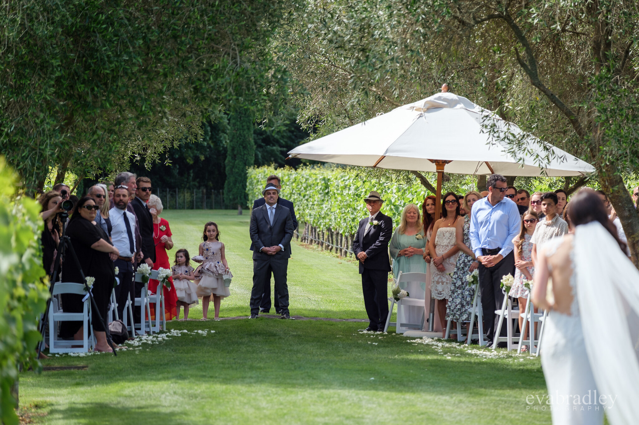 craggy range olive grove wedding nz