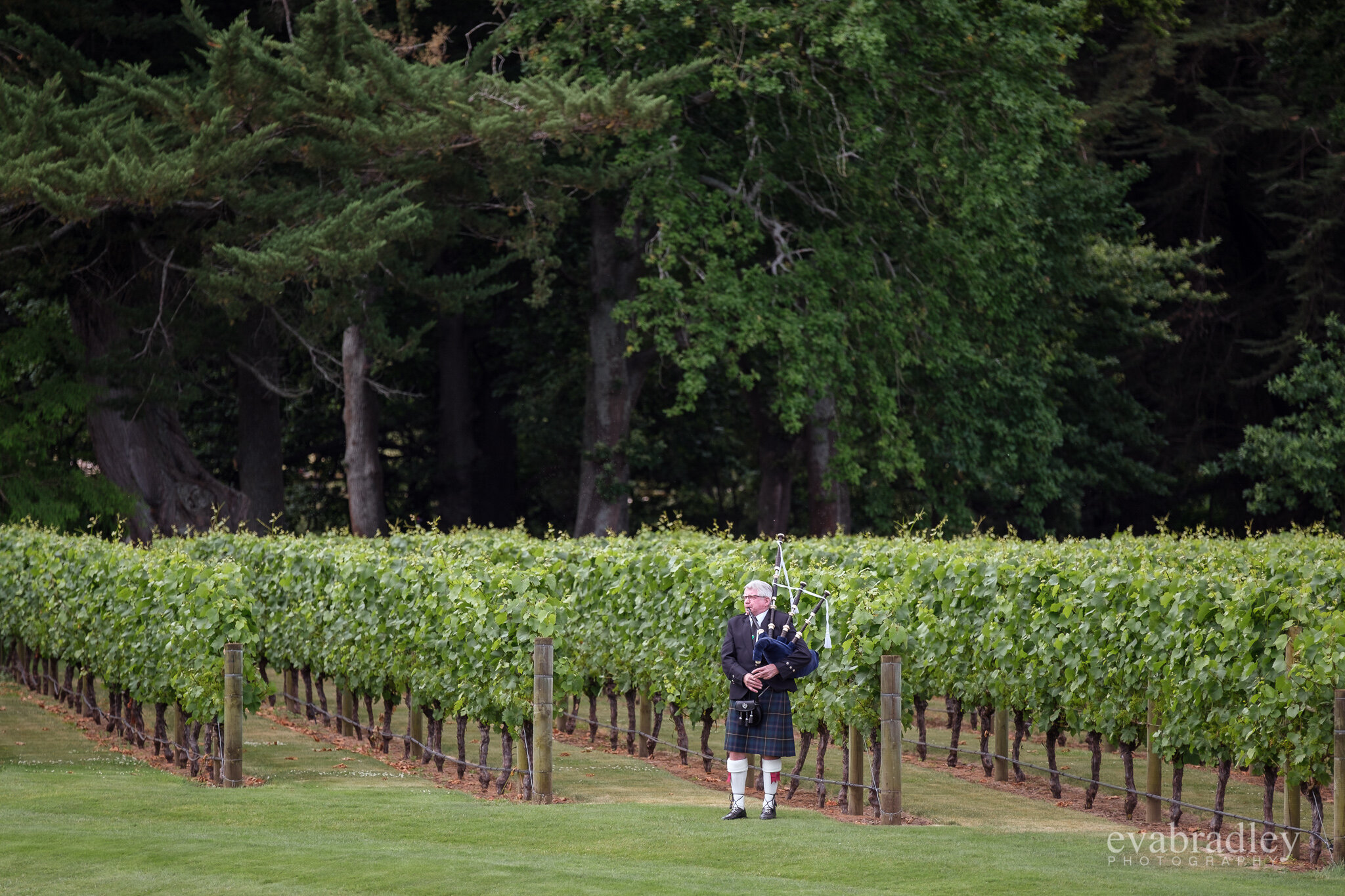 bagpipes piper at Hawkes bay wedding venues