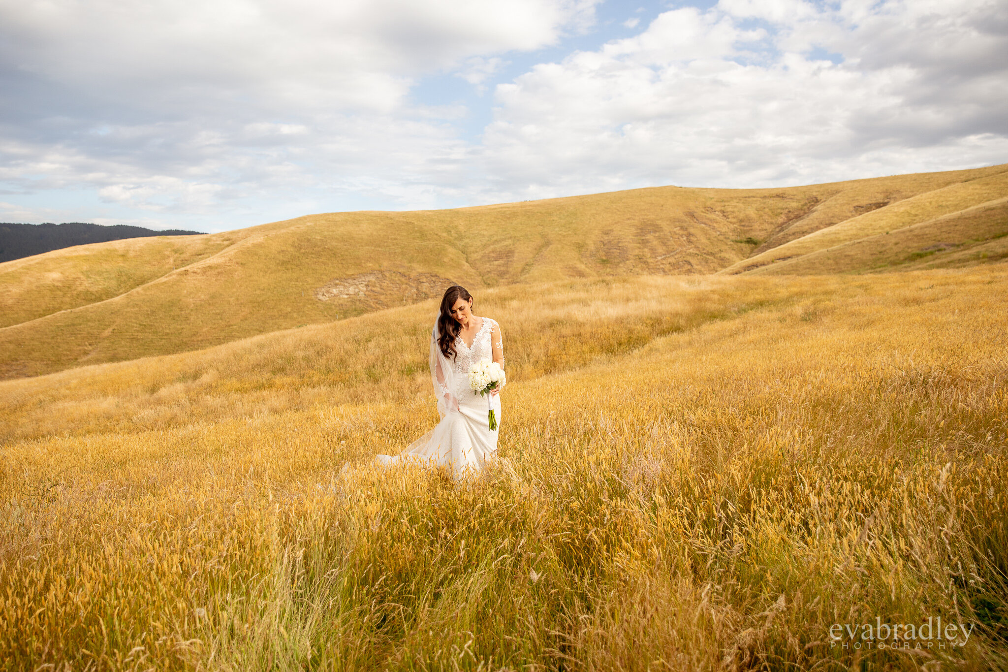 top 10 New Zealand wedding photographers 2019