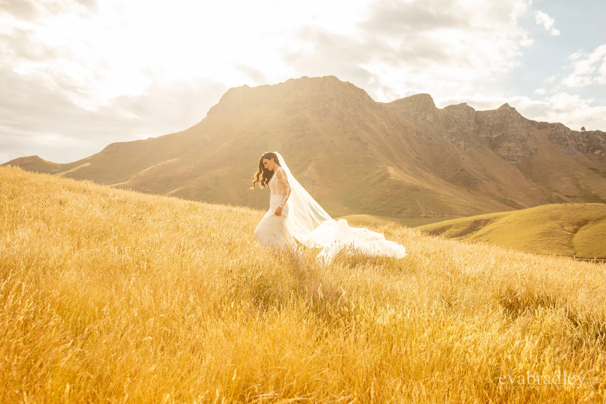 best New Zealand wedding photographers 2020