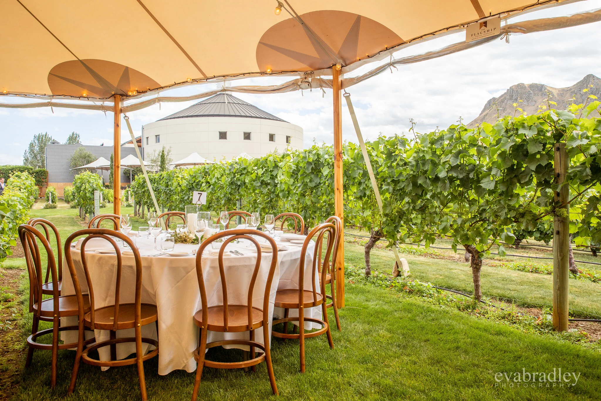 destination winery wedding venues nz