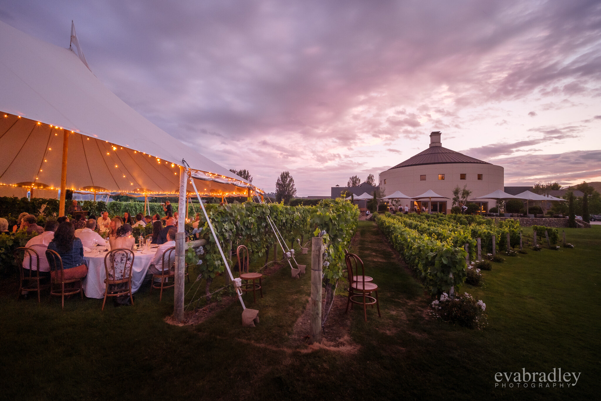 flagship tent at craggy range winery