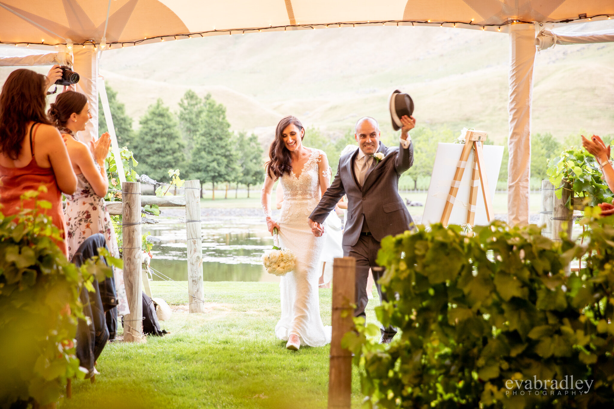 marquee wedding in Hawke's Bay