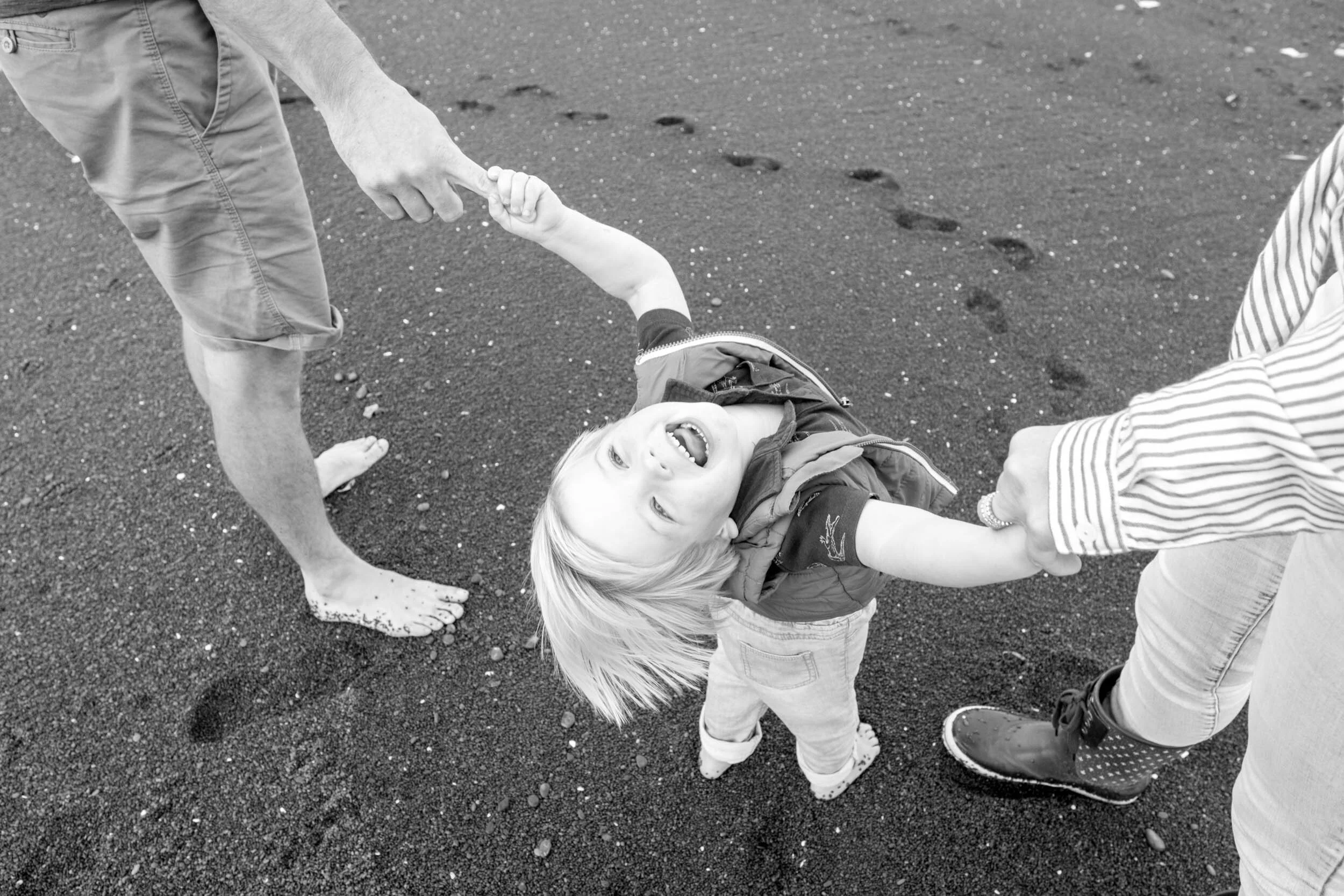 napier photographers