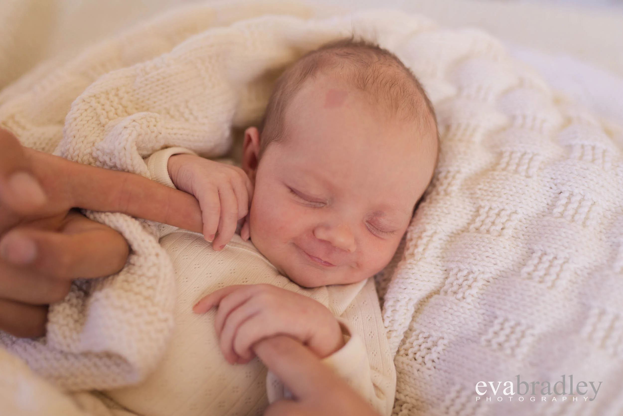 Hawkes-bay-newborn-photographer