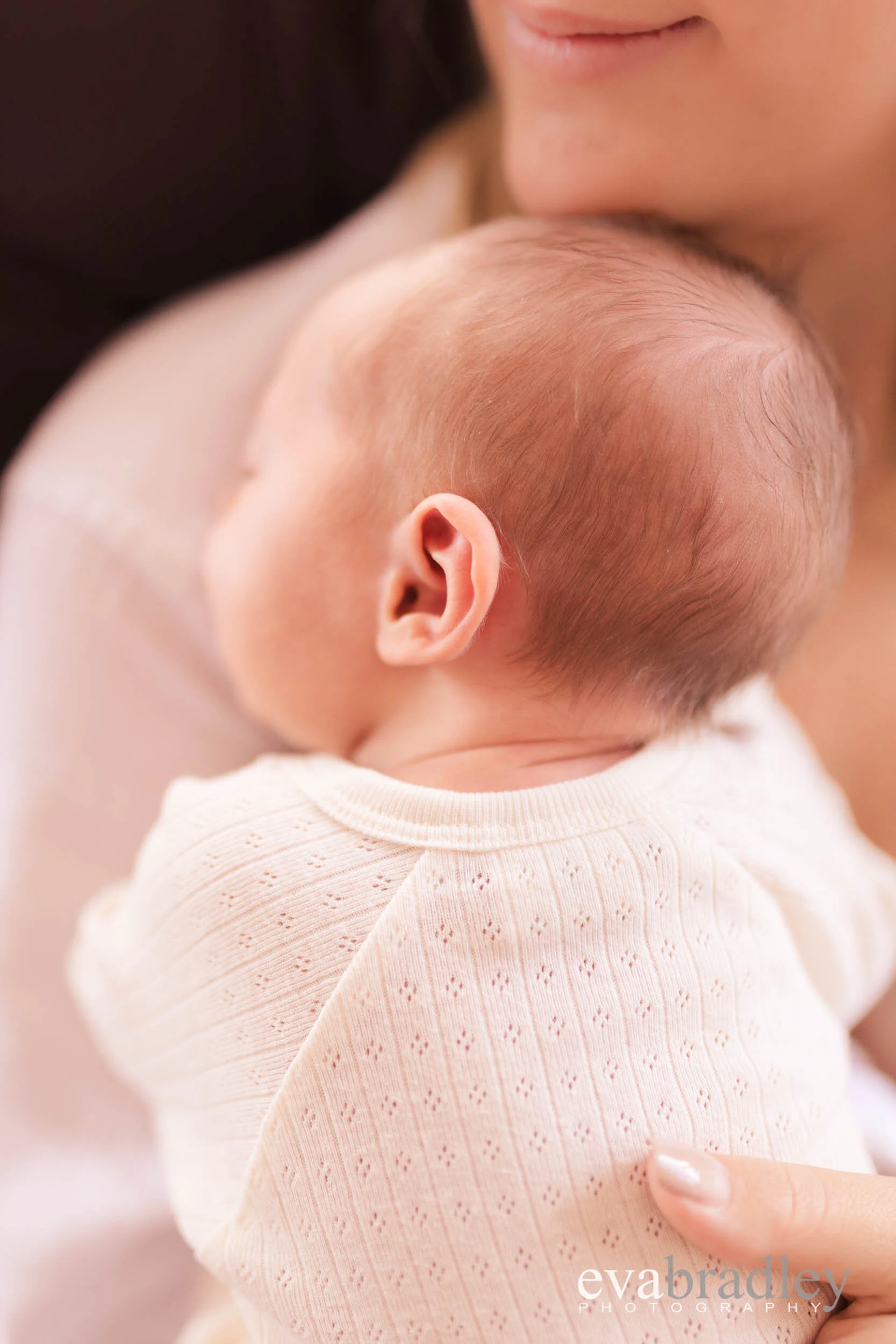 newborn photographer Hawke's Bay