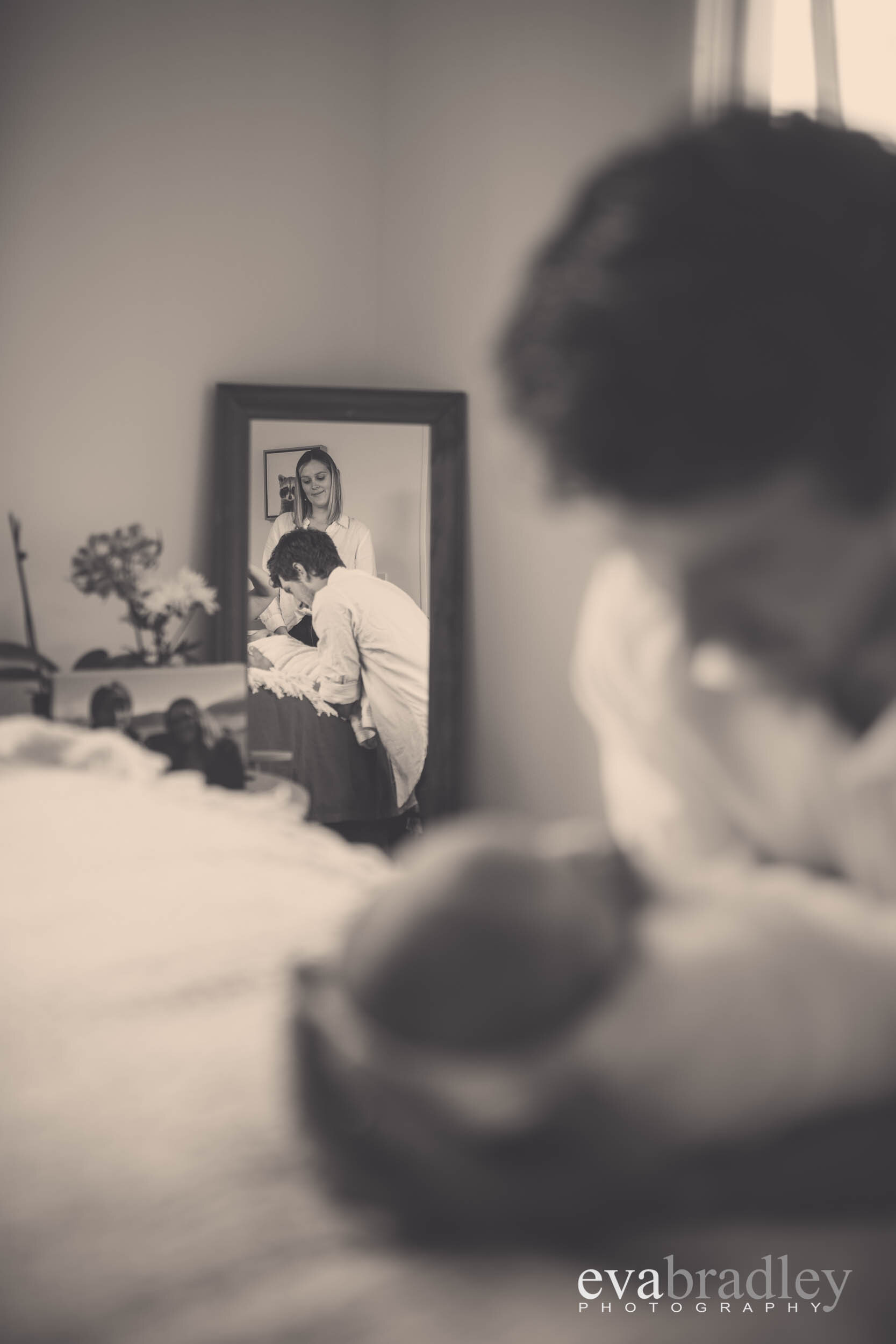 hawkes bay newborn photography