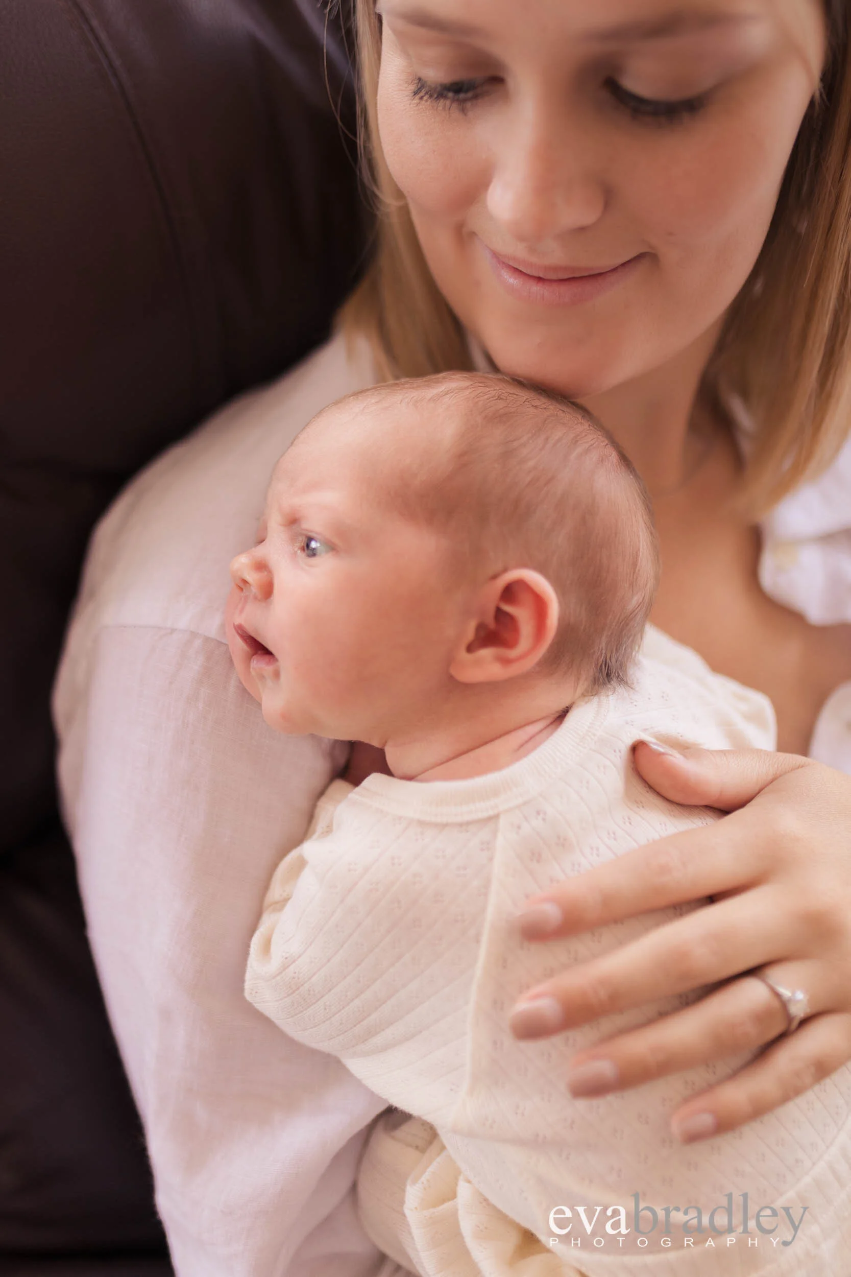hawkes bay newborn and baby photographer