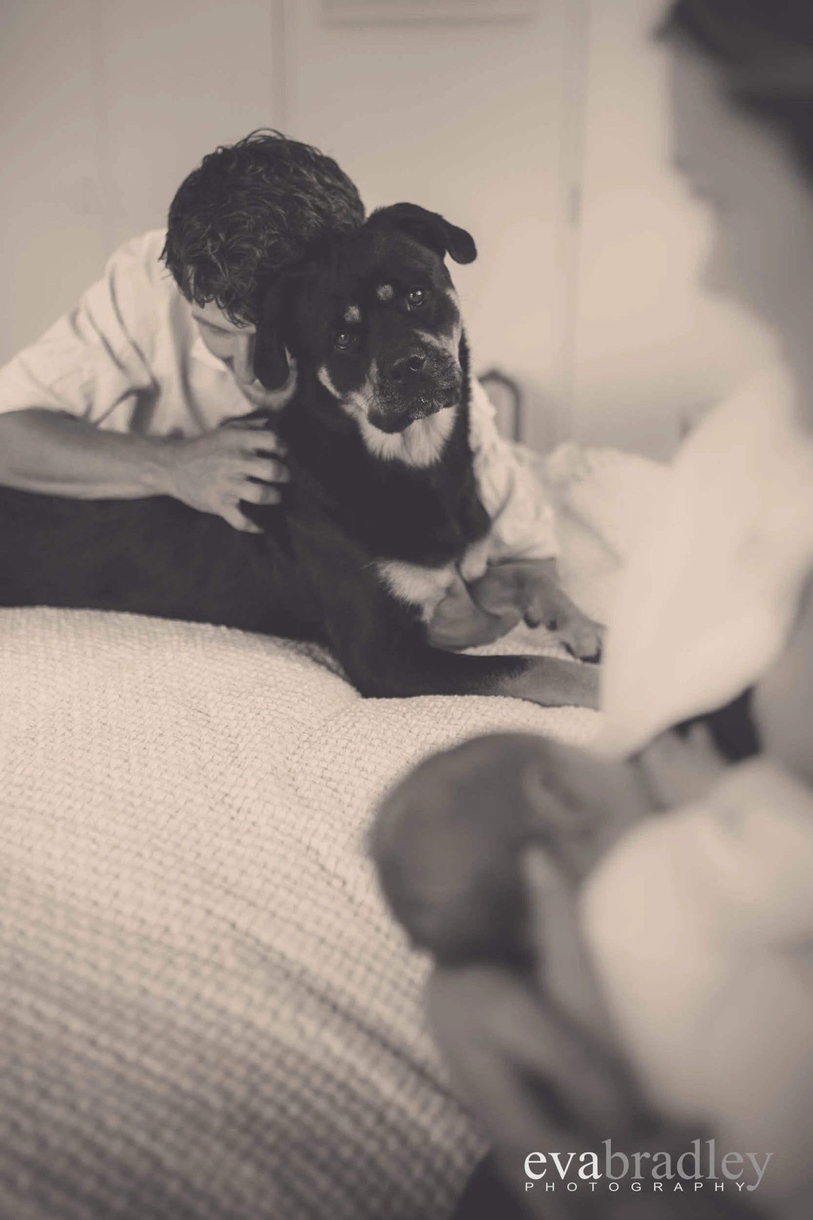 Eva Bradley photography