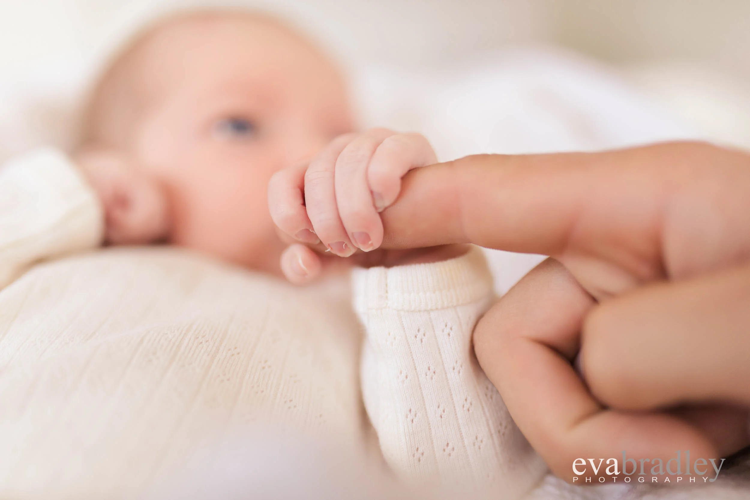 best photographers hawkes bay