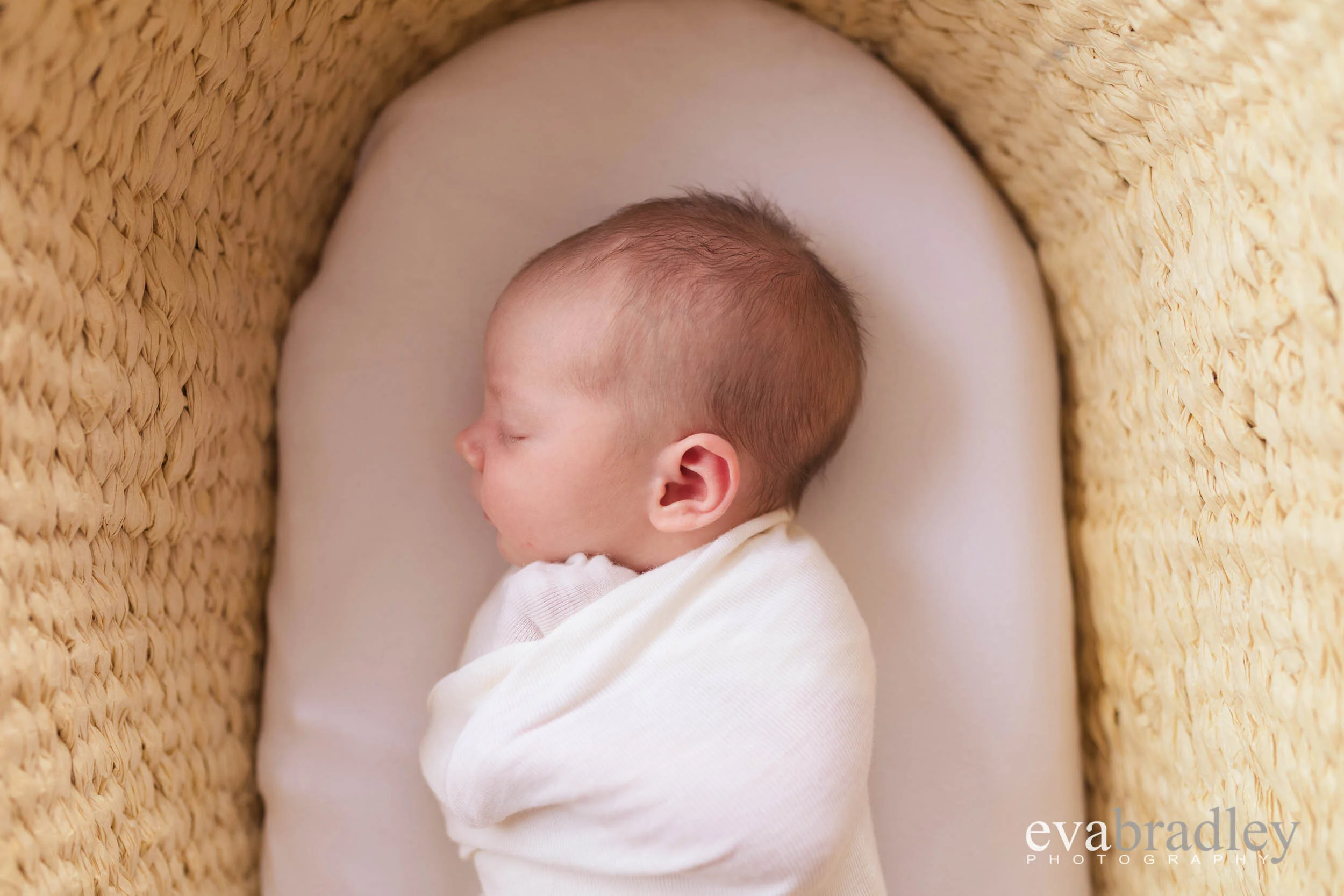 hawkes bay wedding photographers