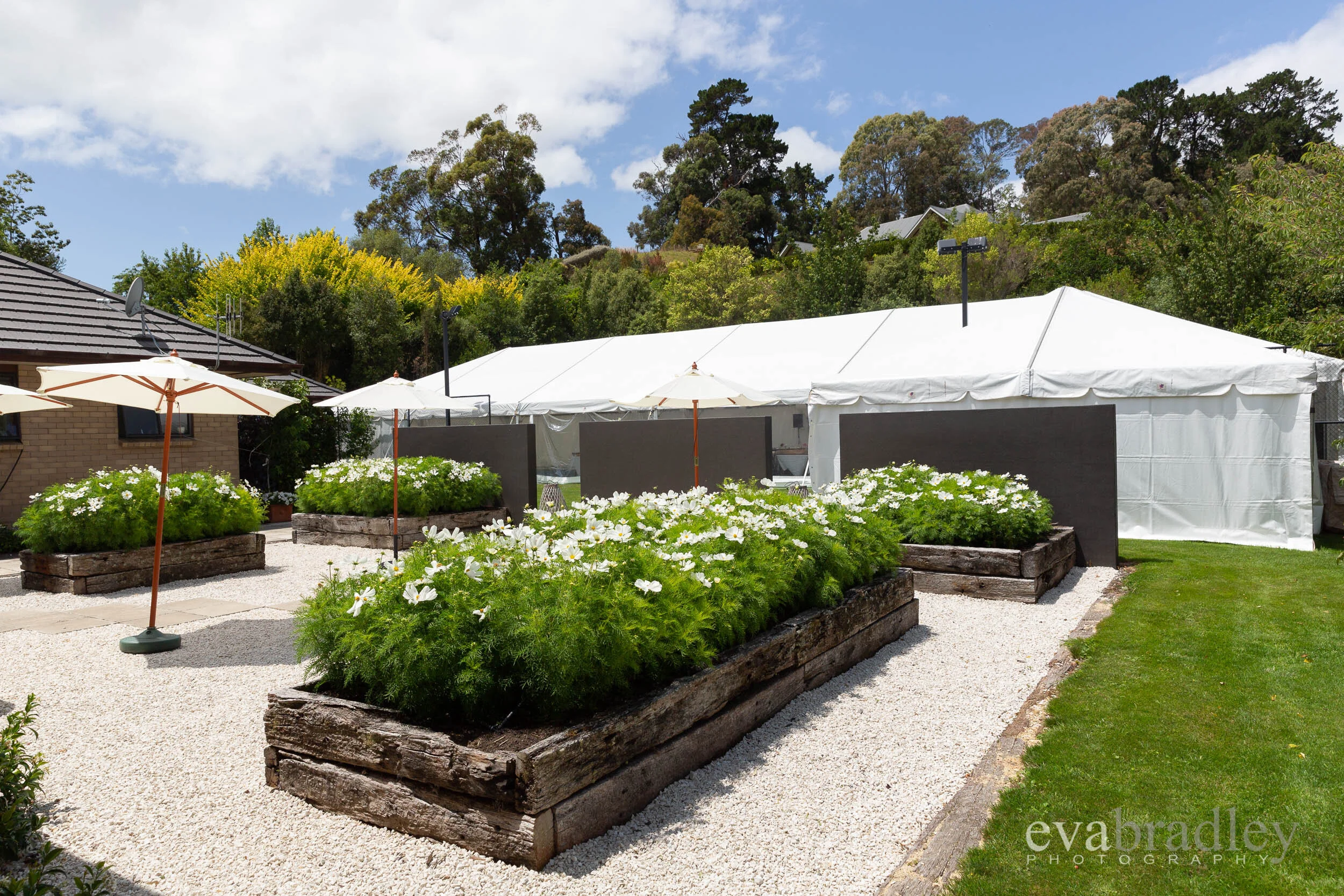 hawkes bay marquees