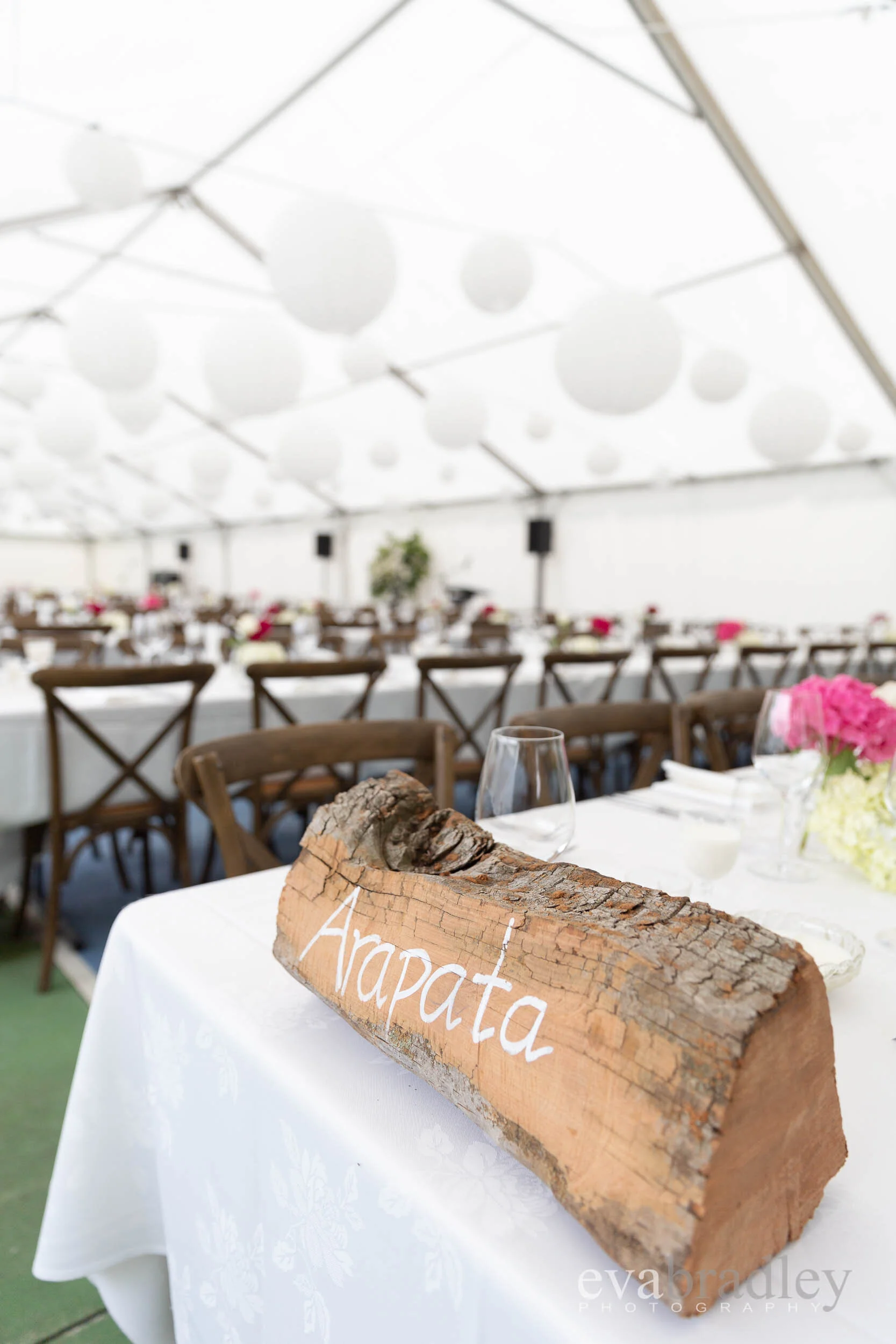 hawkes bay wedding marquees