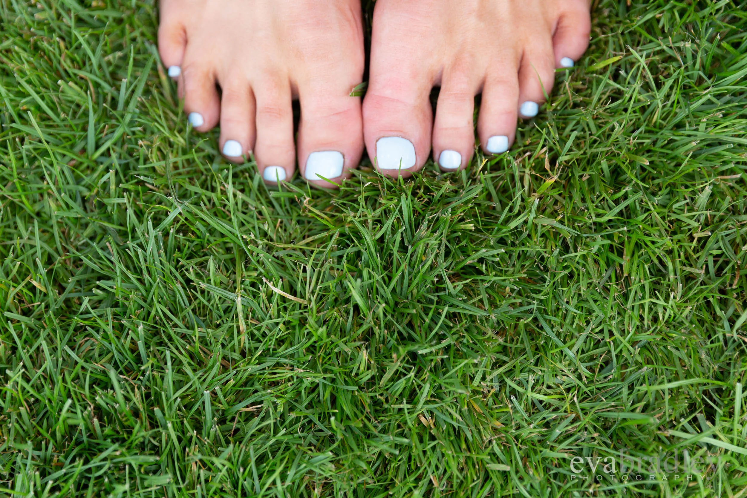 blue toenails polish hawkes bay